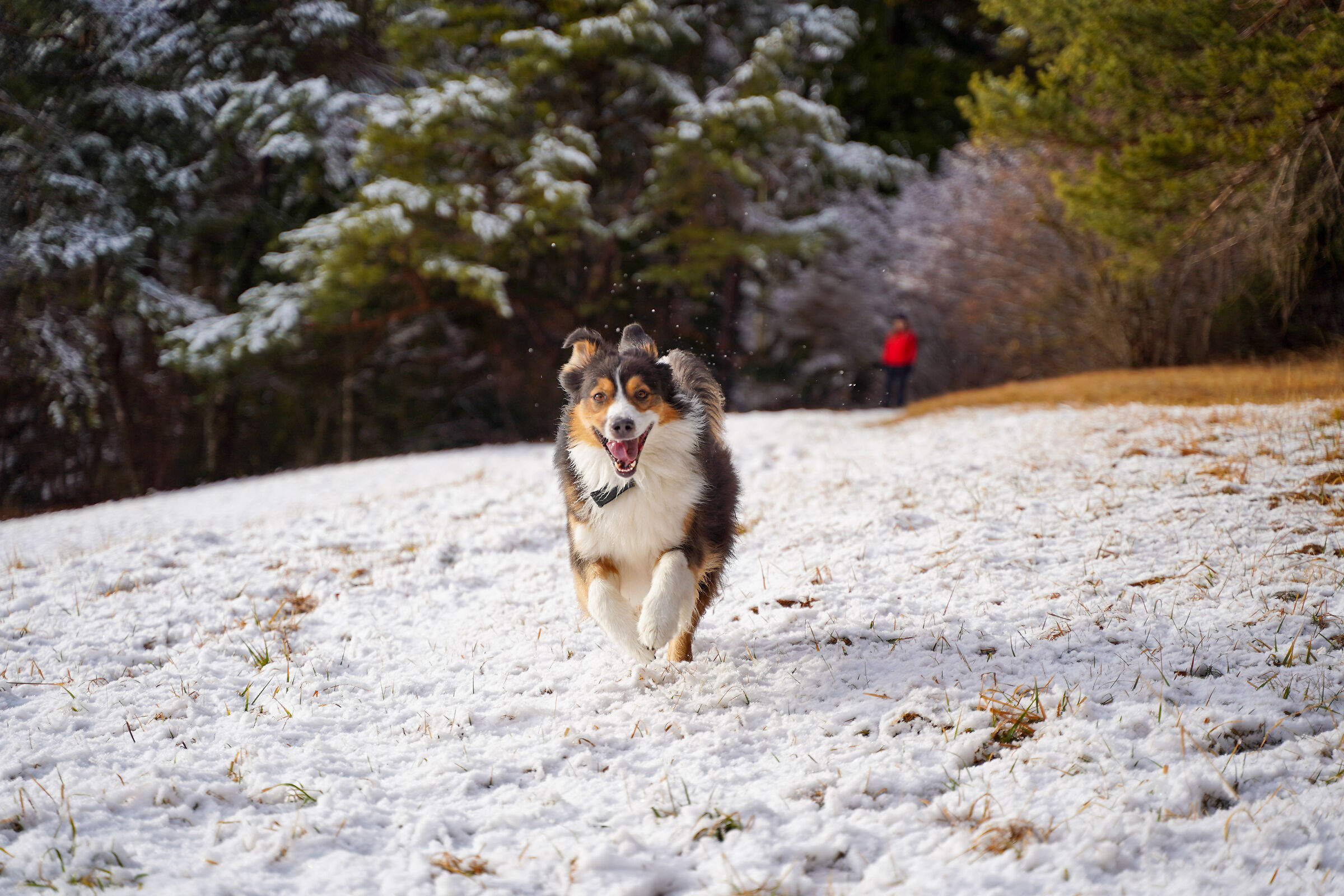 I love the snow!