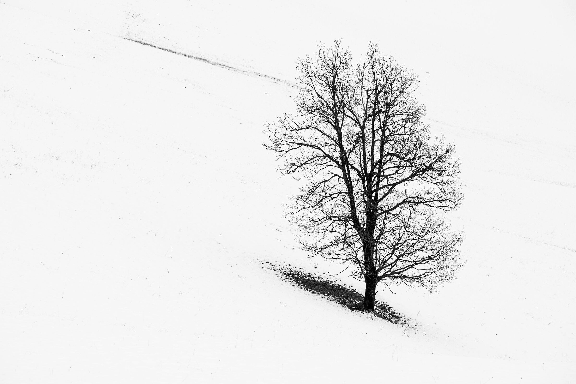 Minimal winter