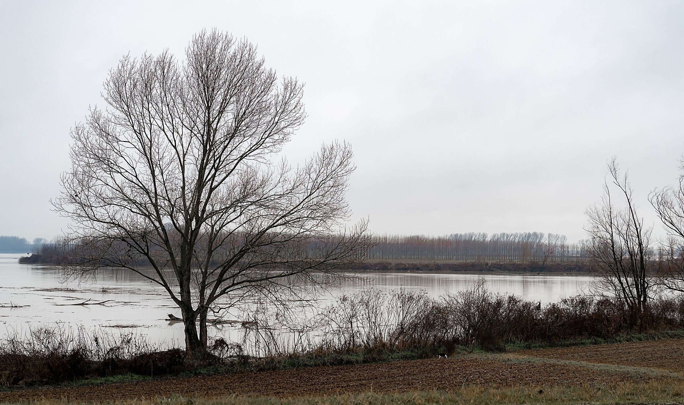 Paesaggi lungo il grande fiume...