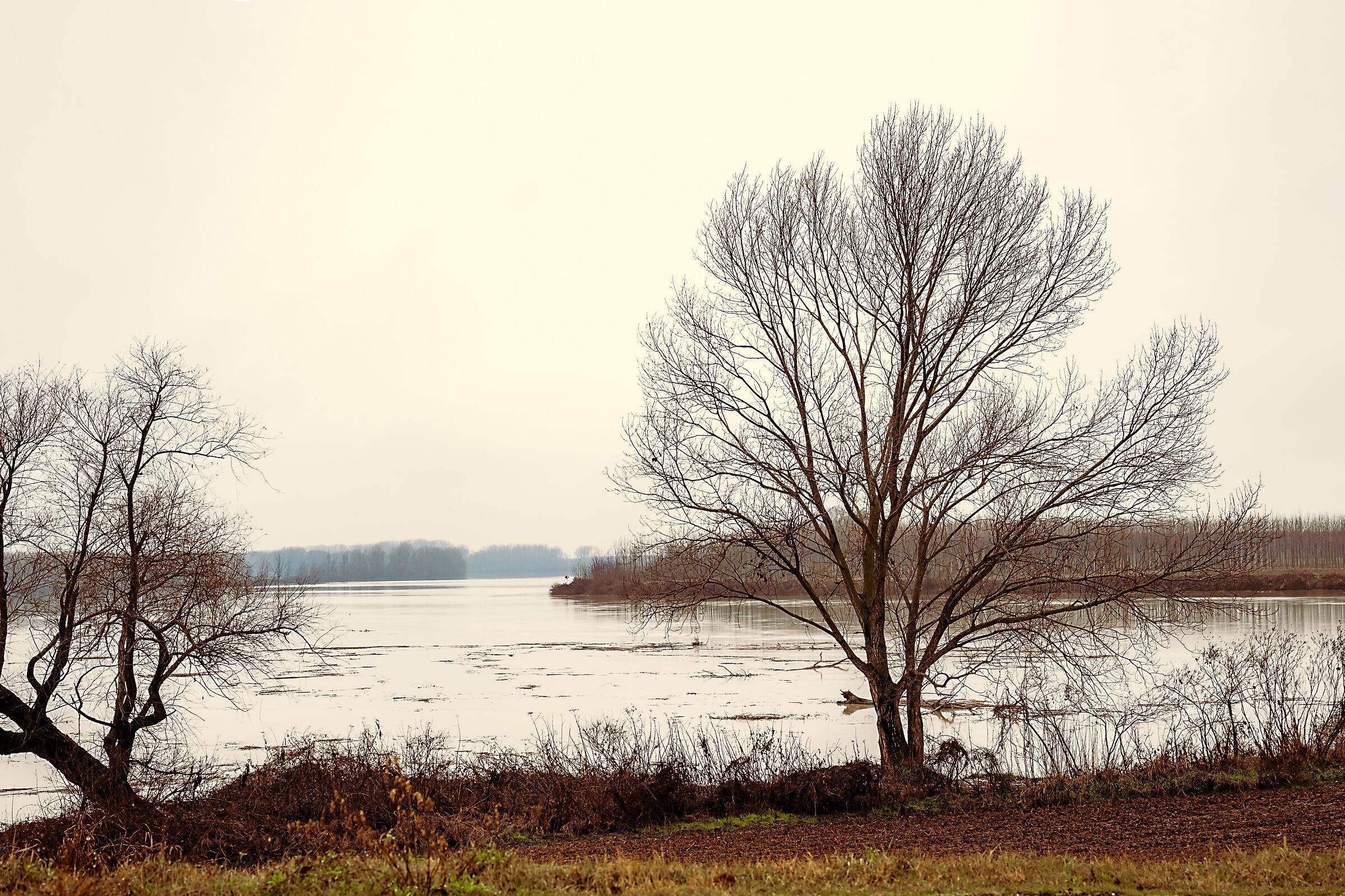 Paesaggio del grande fiume triste...