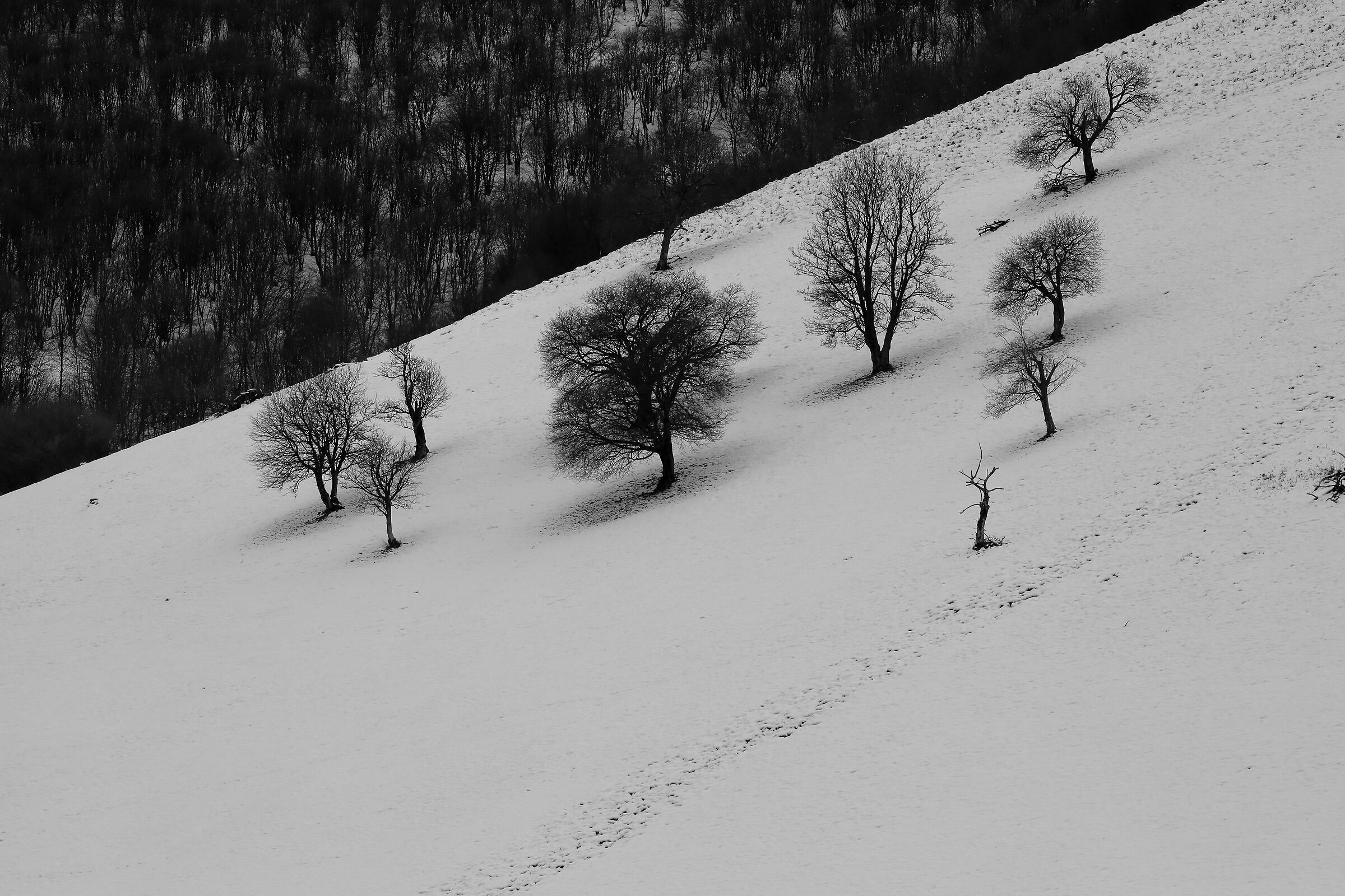 Intelvi valley after the snowfall