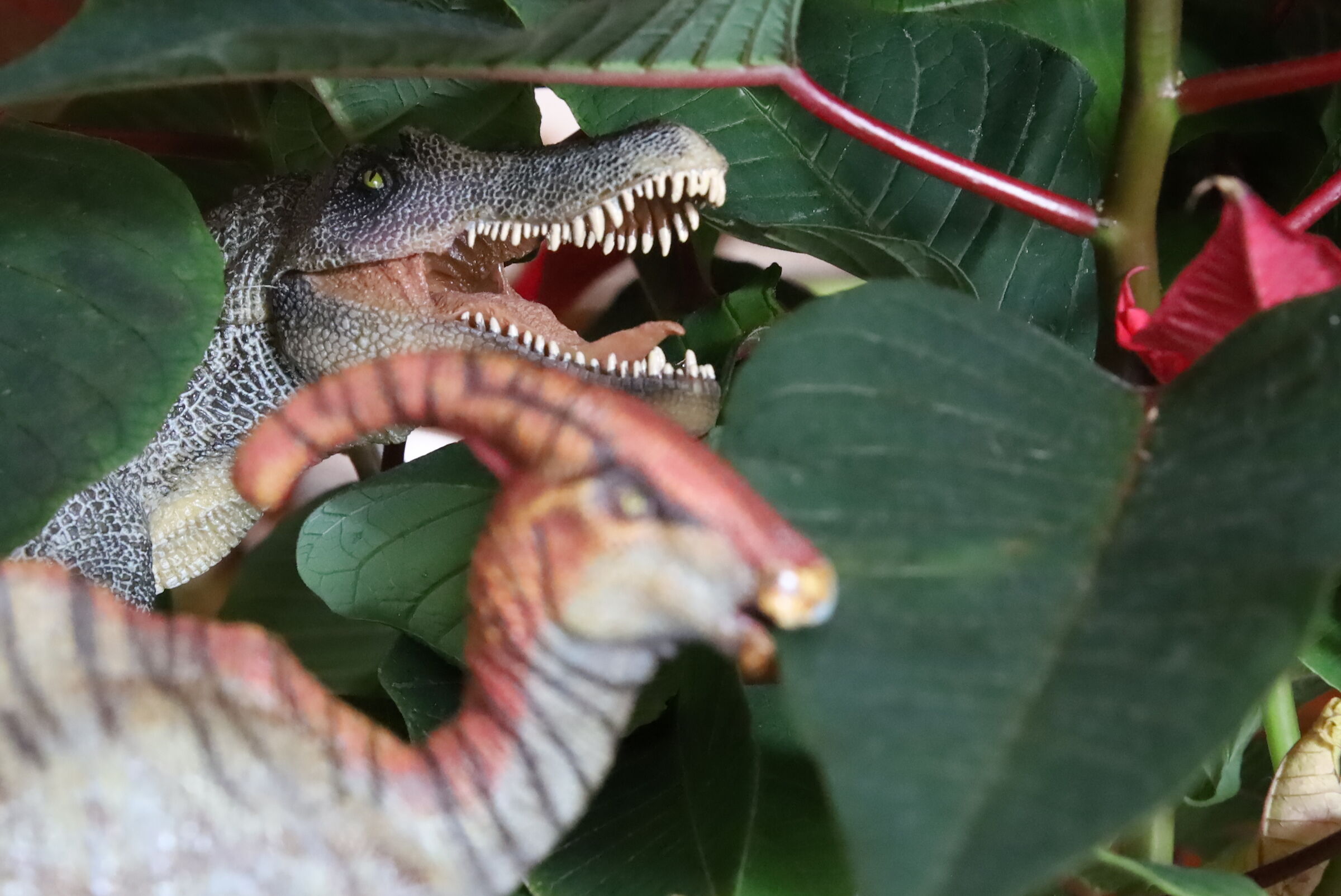 Ambush under the star