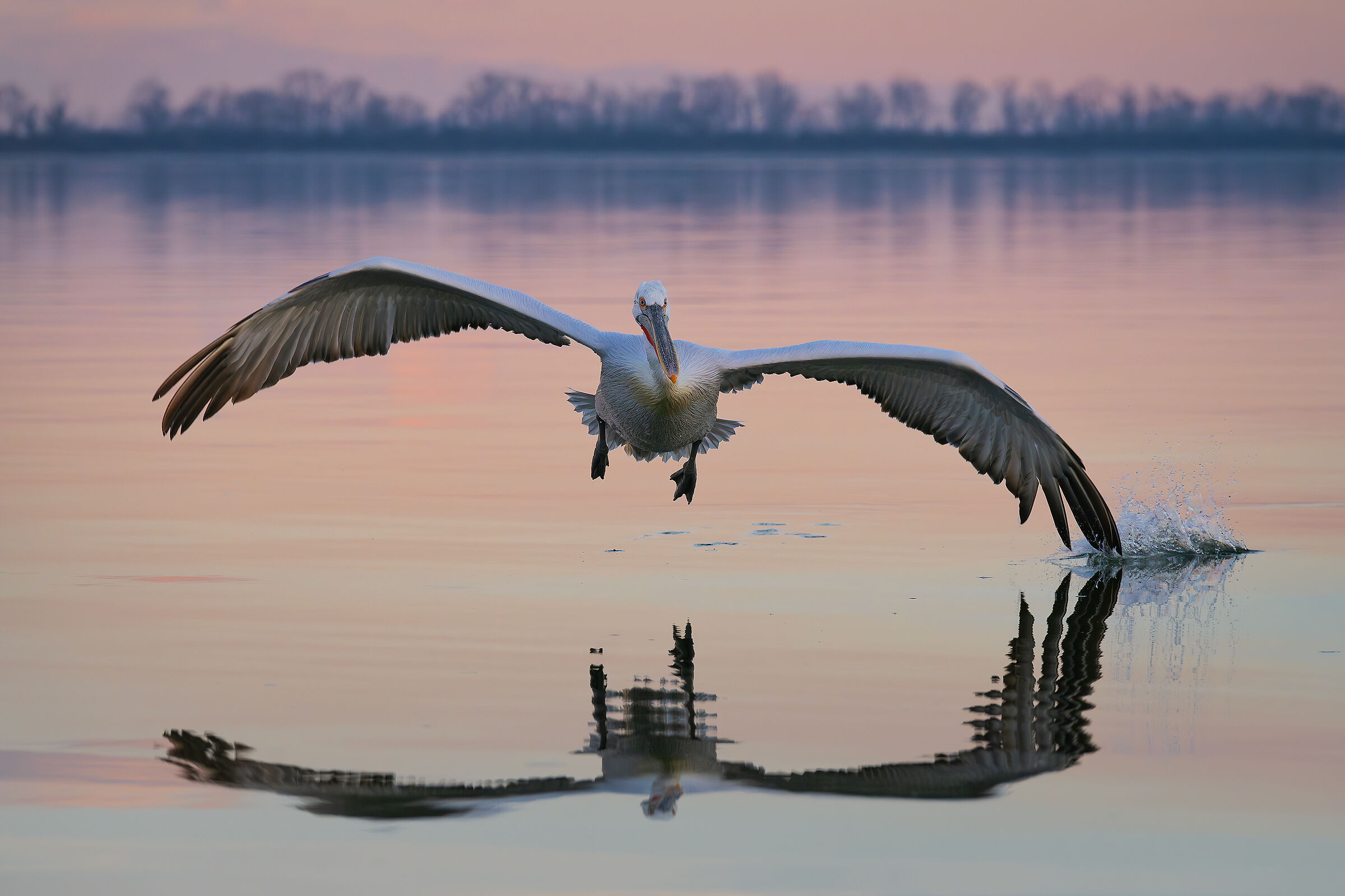 In the last light ...