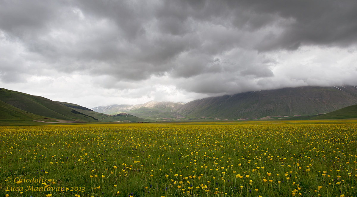 Castelluccio di Norcia - Vista dai fiori