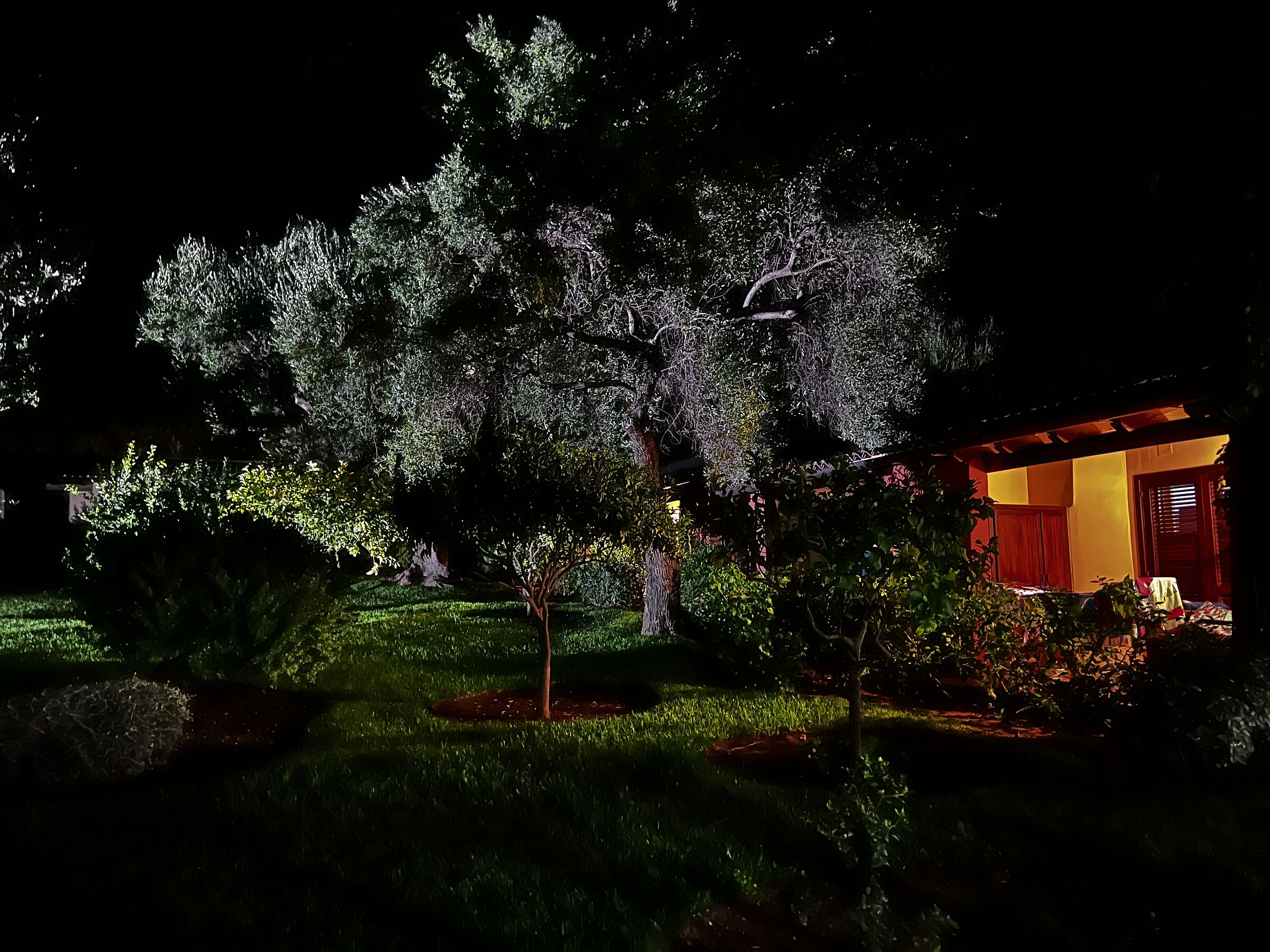 The enchantment of the night