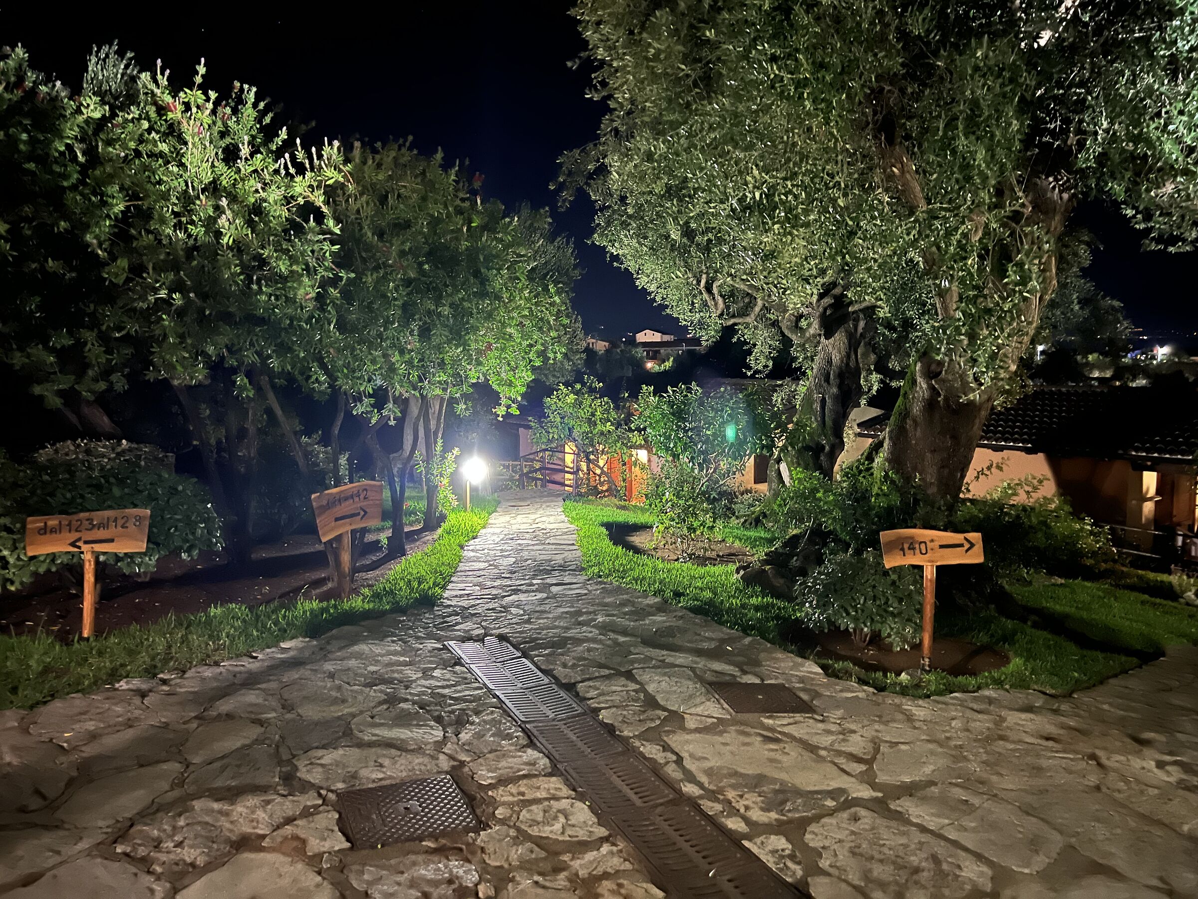 The enchantment of the night