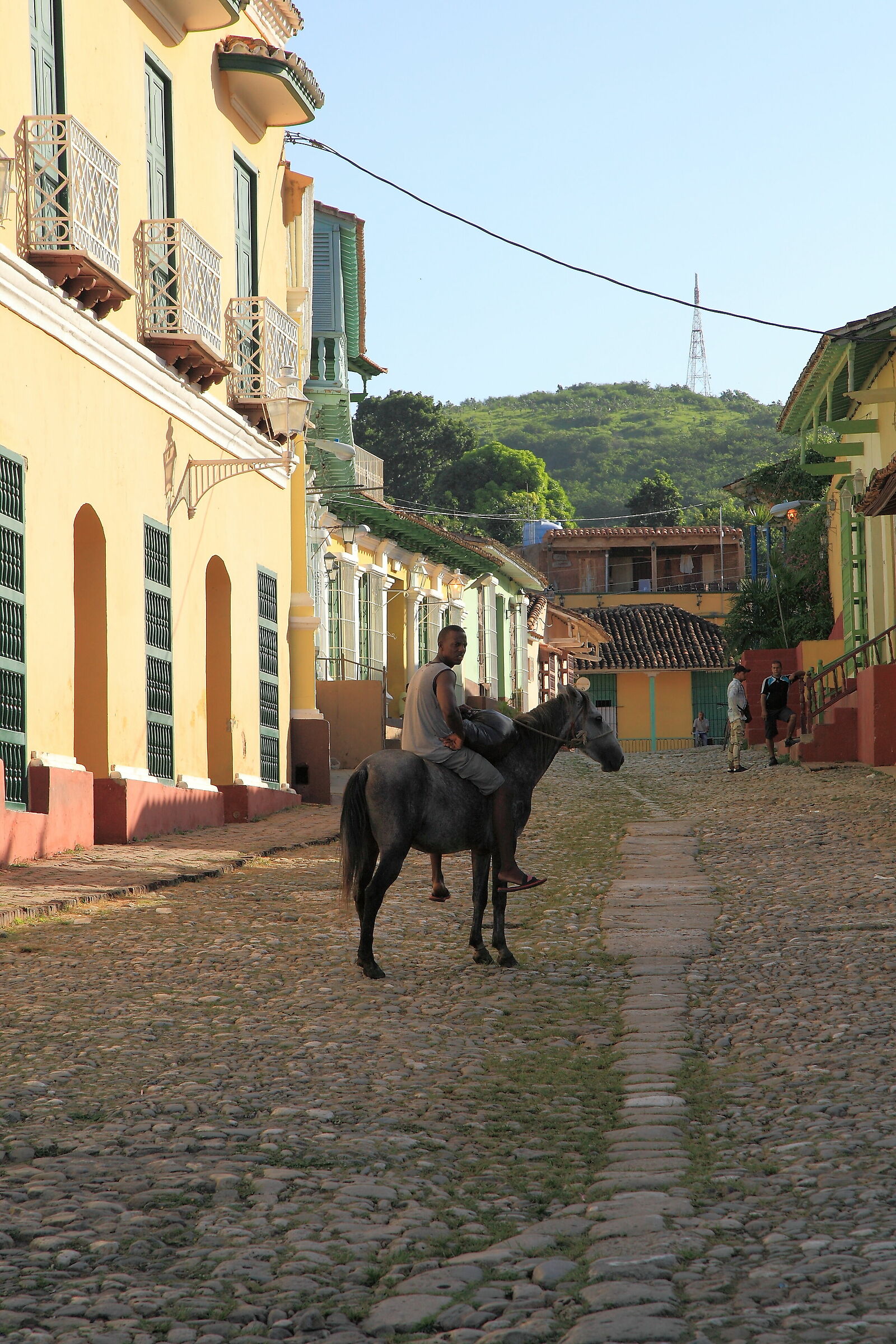 Consígueme la matrícula!!