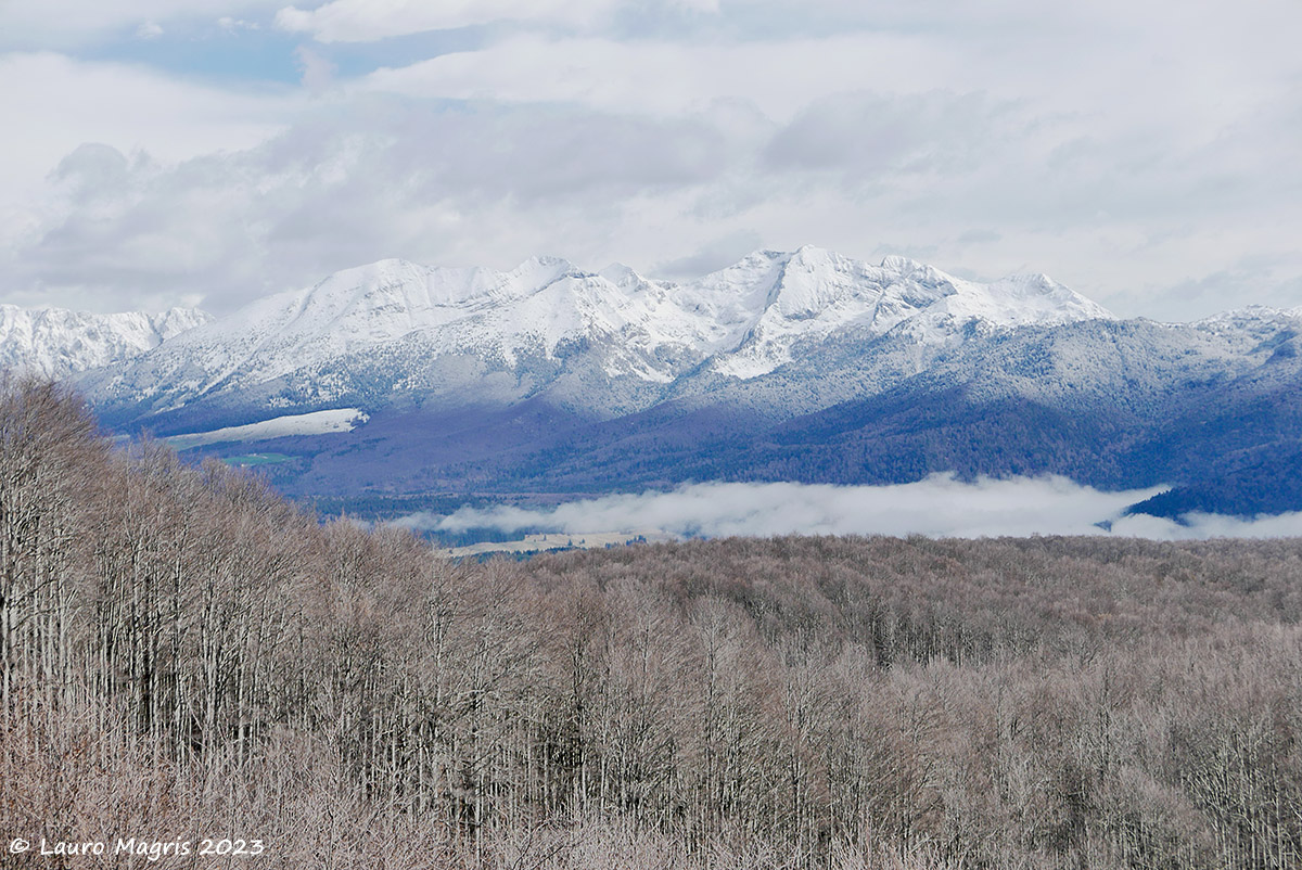 Magica foresta del Cansiglio