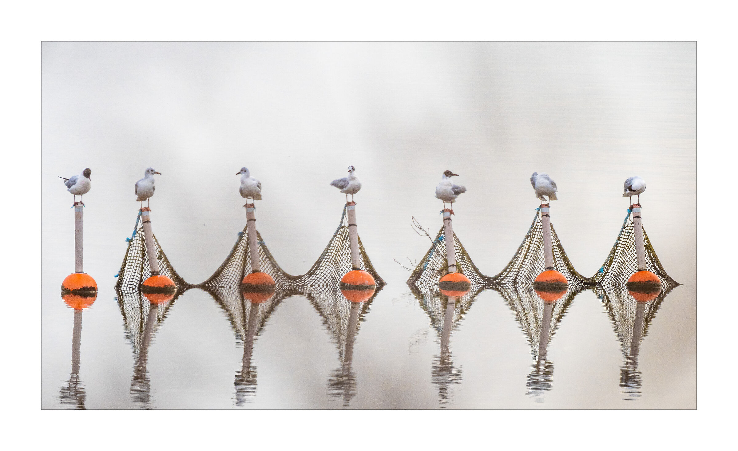 To each his own place