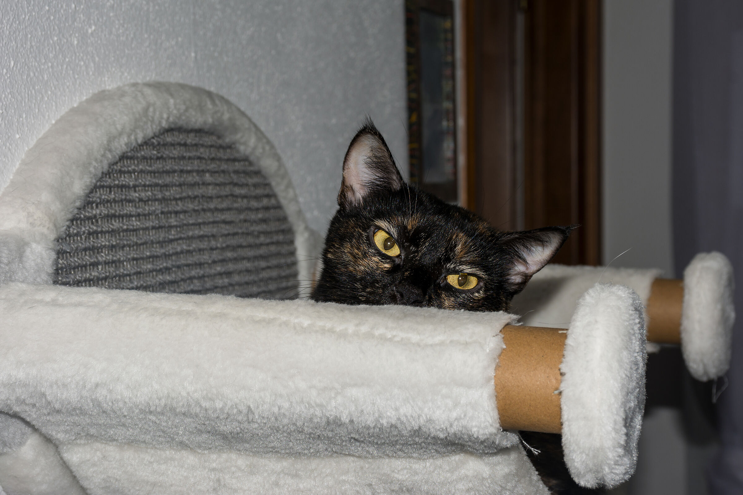 But what does this guy want here?