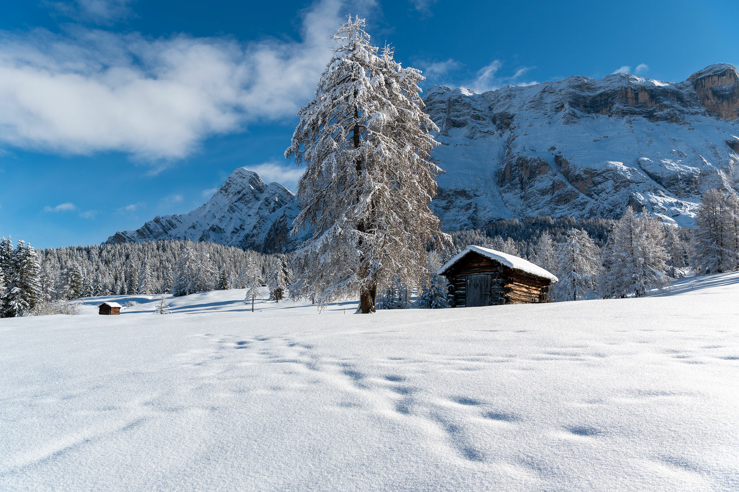Winter landscape meadows Armentara