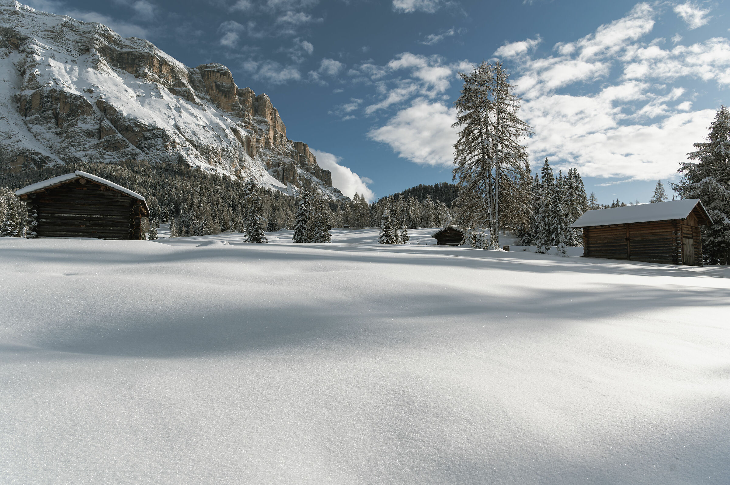 Winter landscape meadows Armentara
