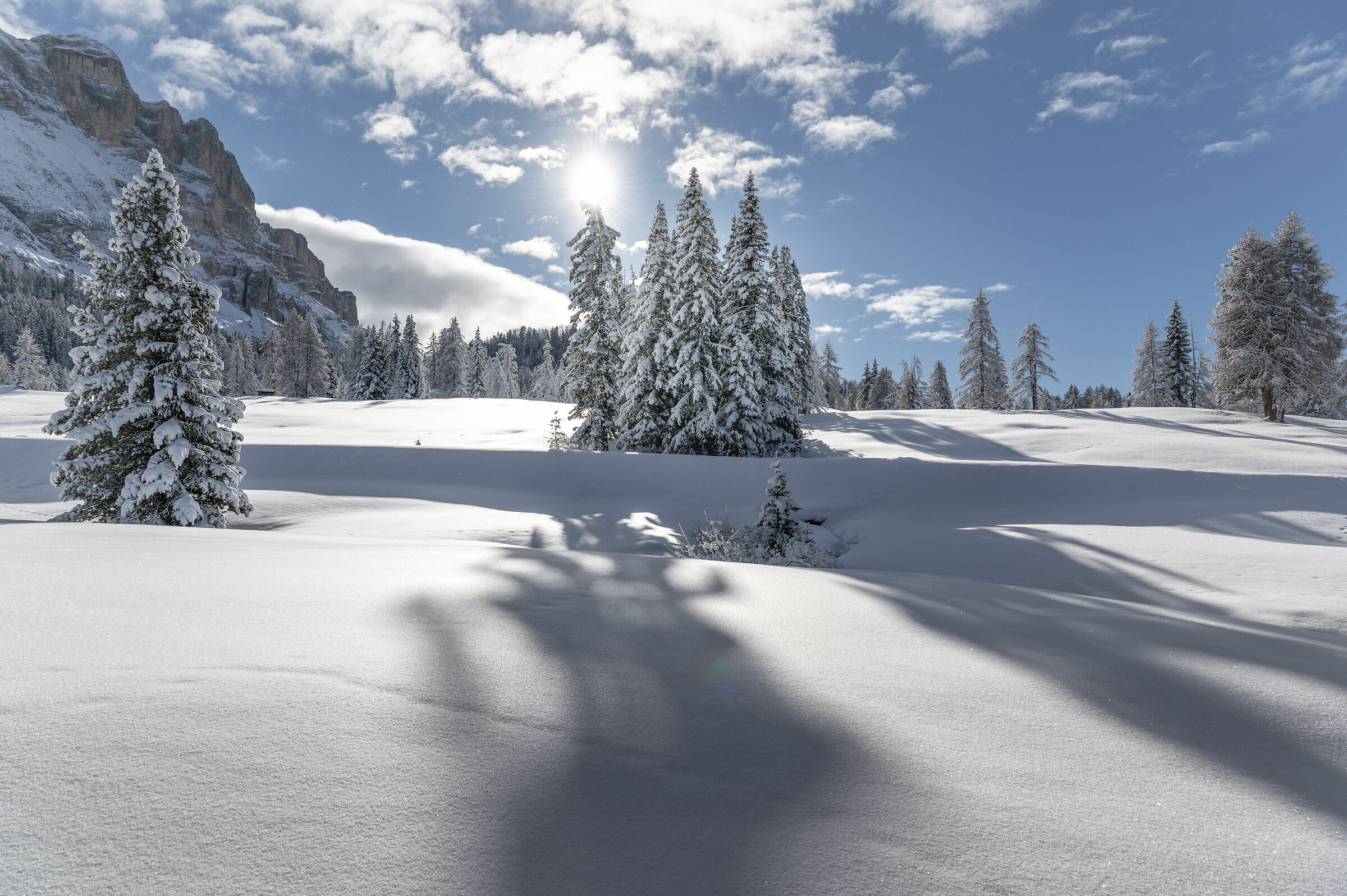 Lights and shadows of winter in the Armentara meadows
