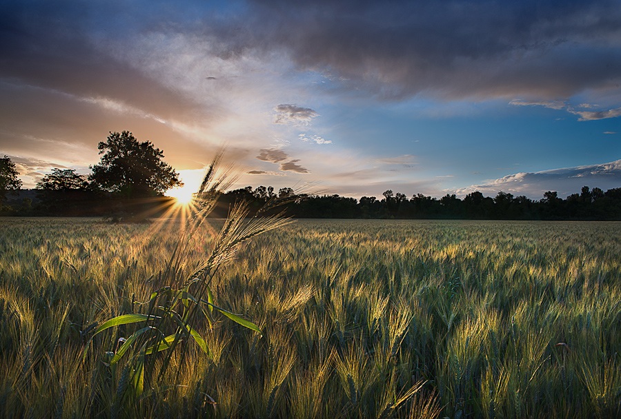 Semplicità ed un filo di luce