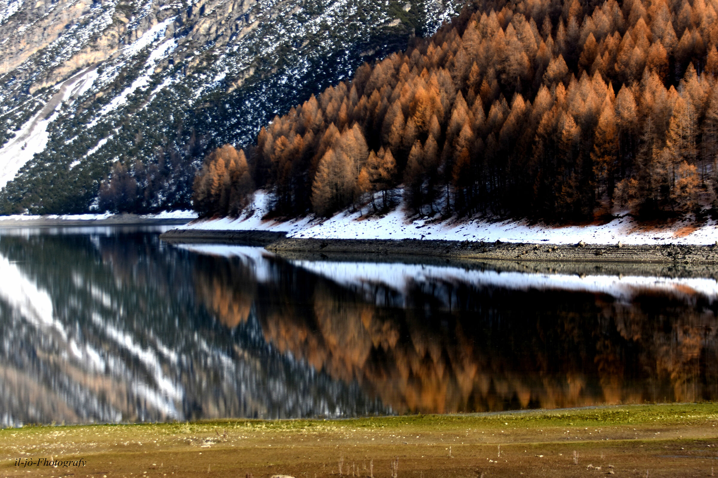Untitled Photo