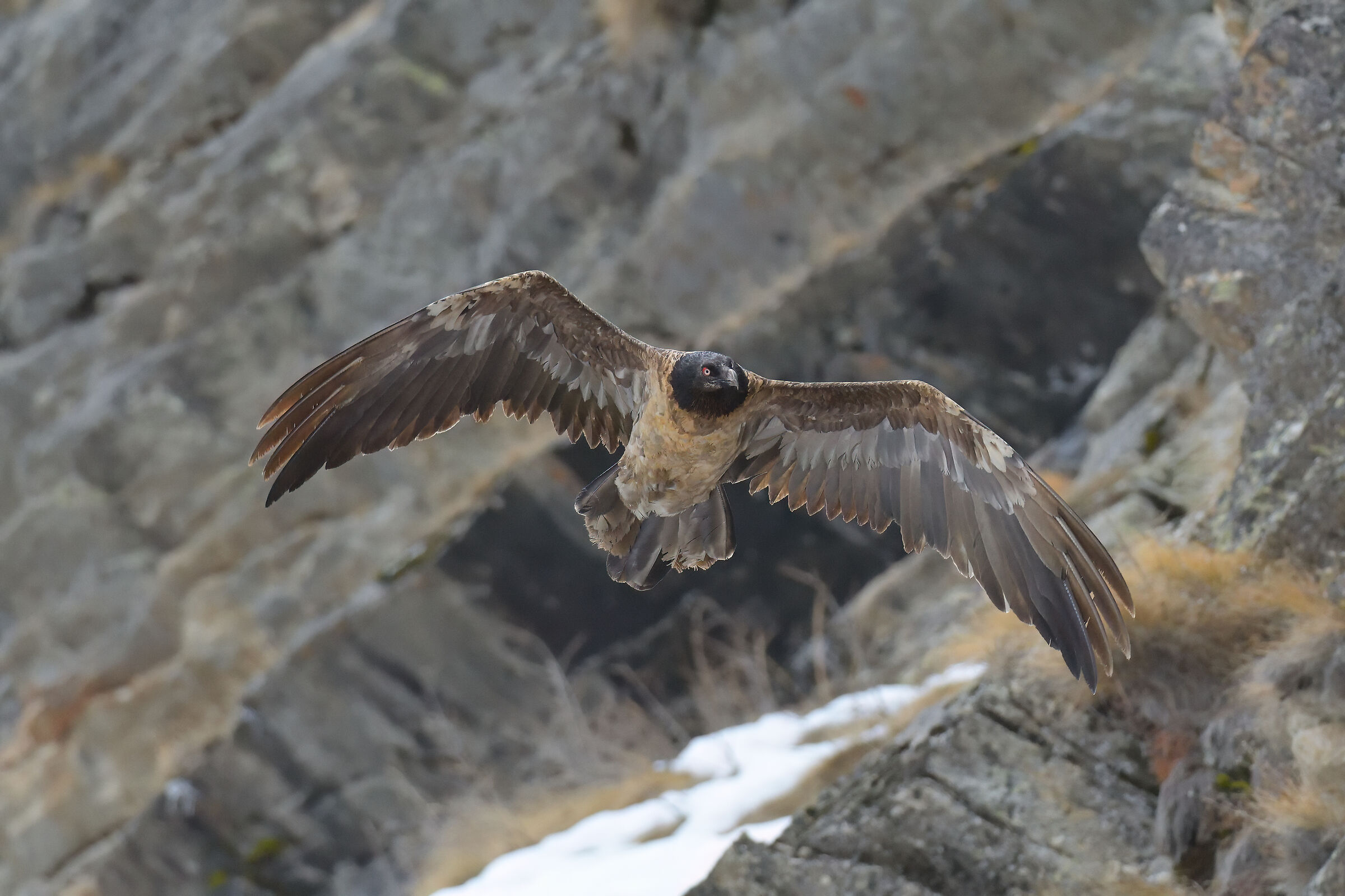 Un incontro indimenticabile!