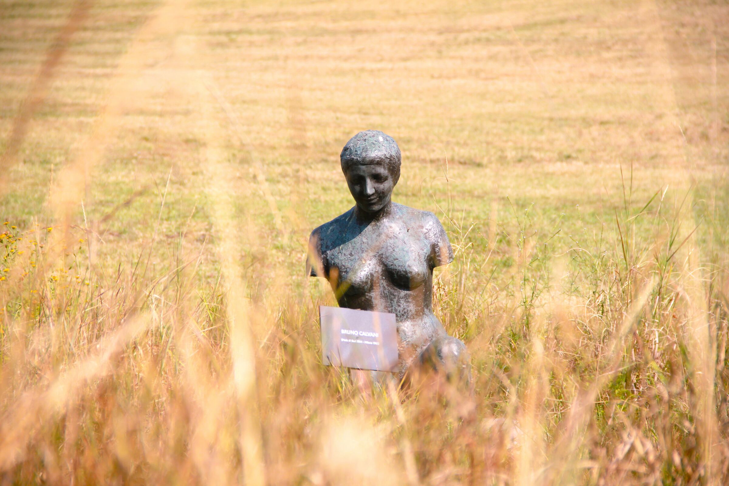 The siren of the fields