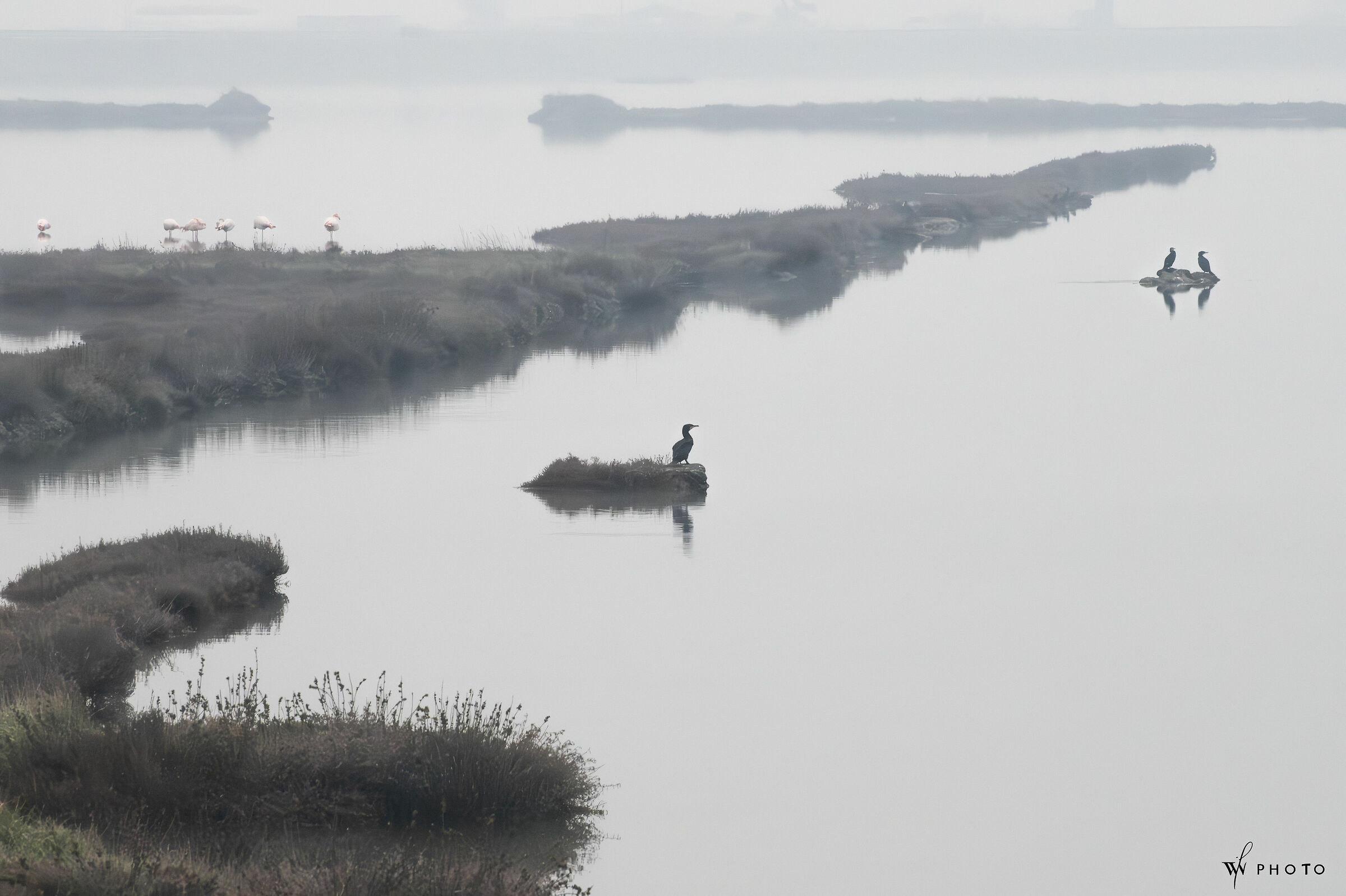 Rosolina lagoon (VE)