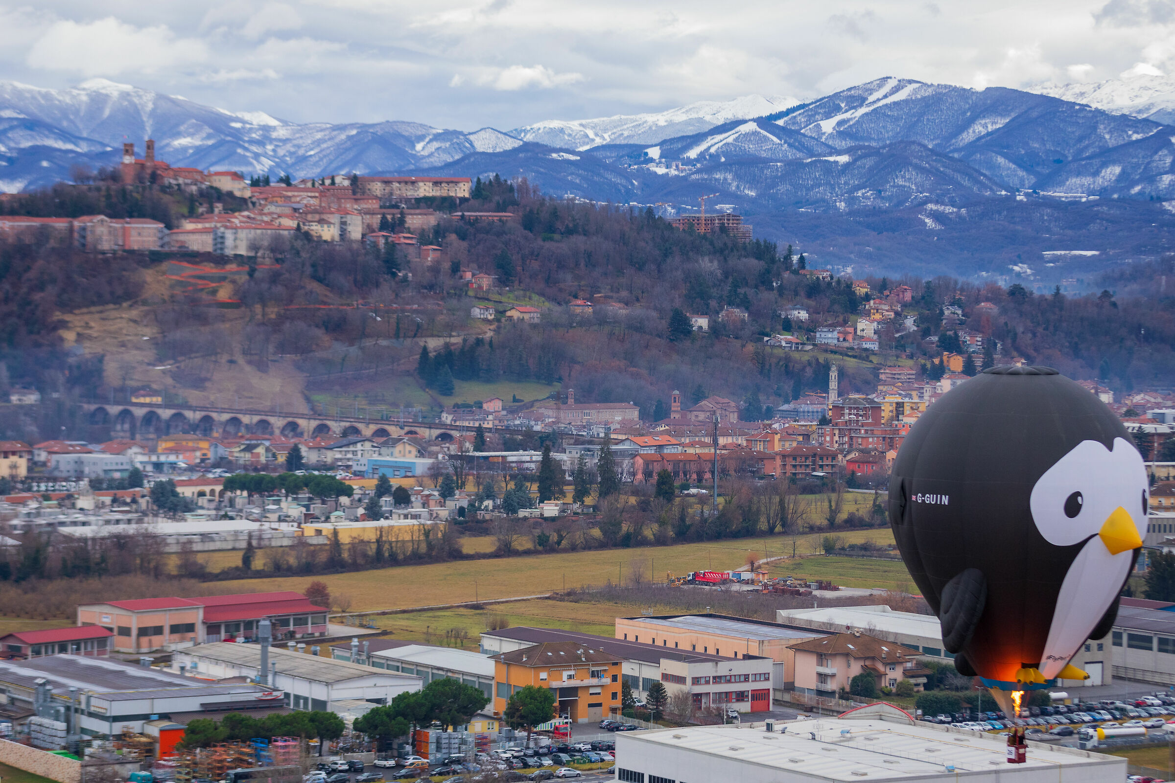 Il pinguino in volo su Mondovì