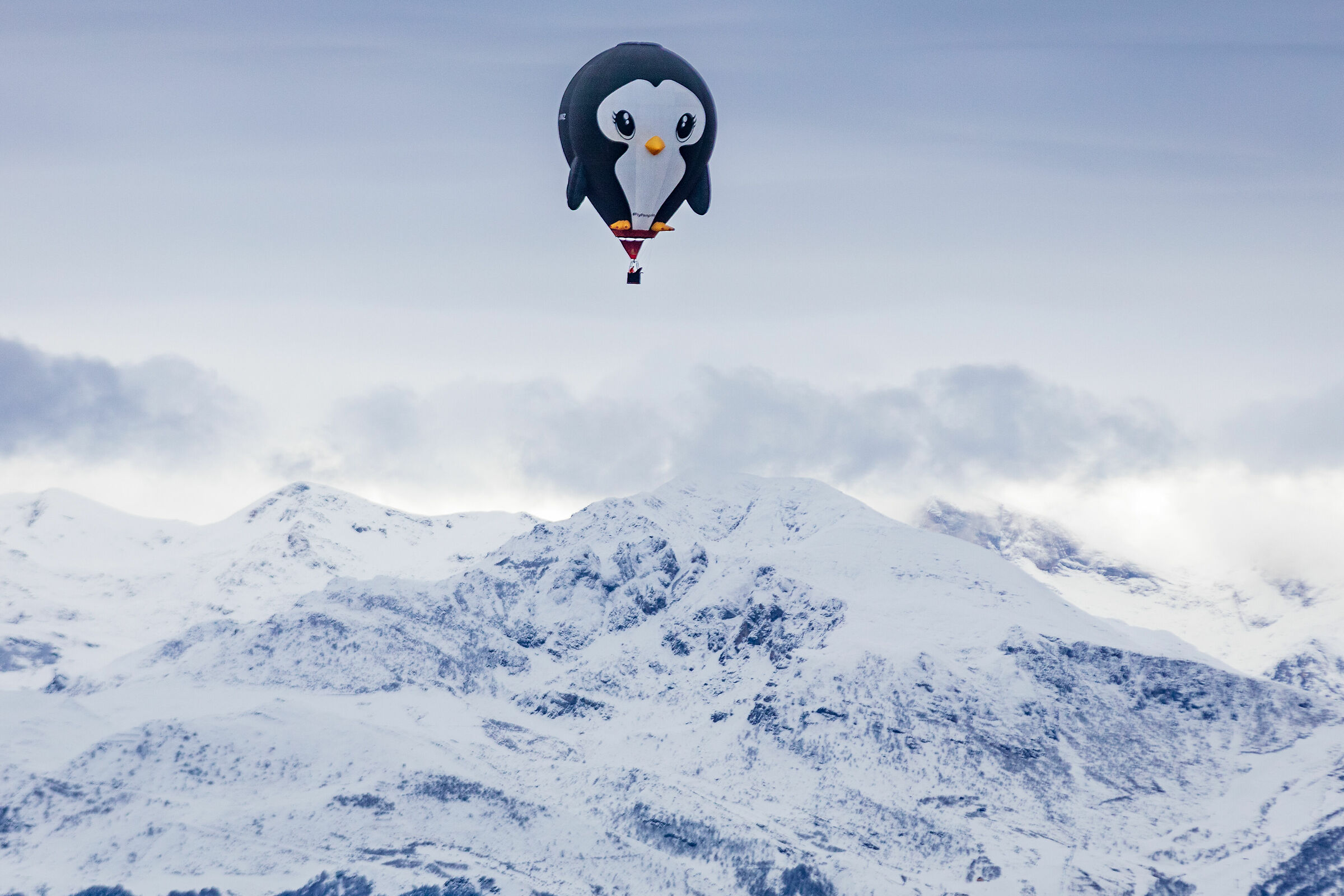 La Pinguina sul Mondolè