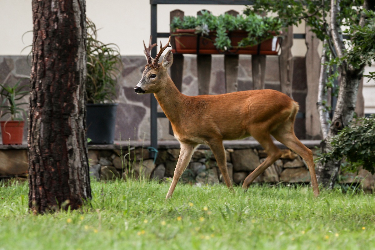 scusi...,dov'è l'uscita???