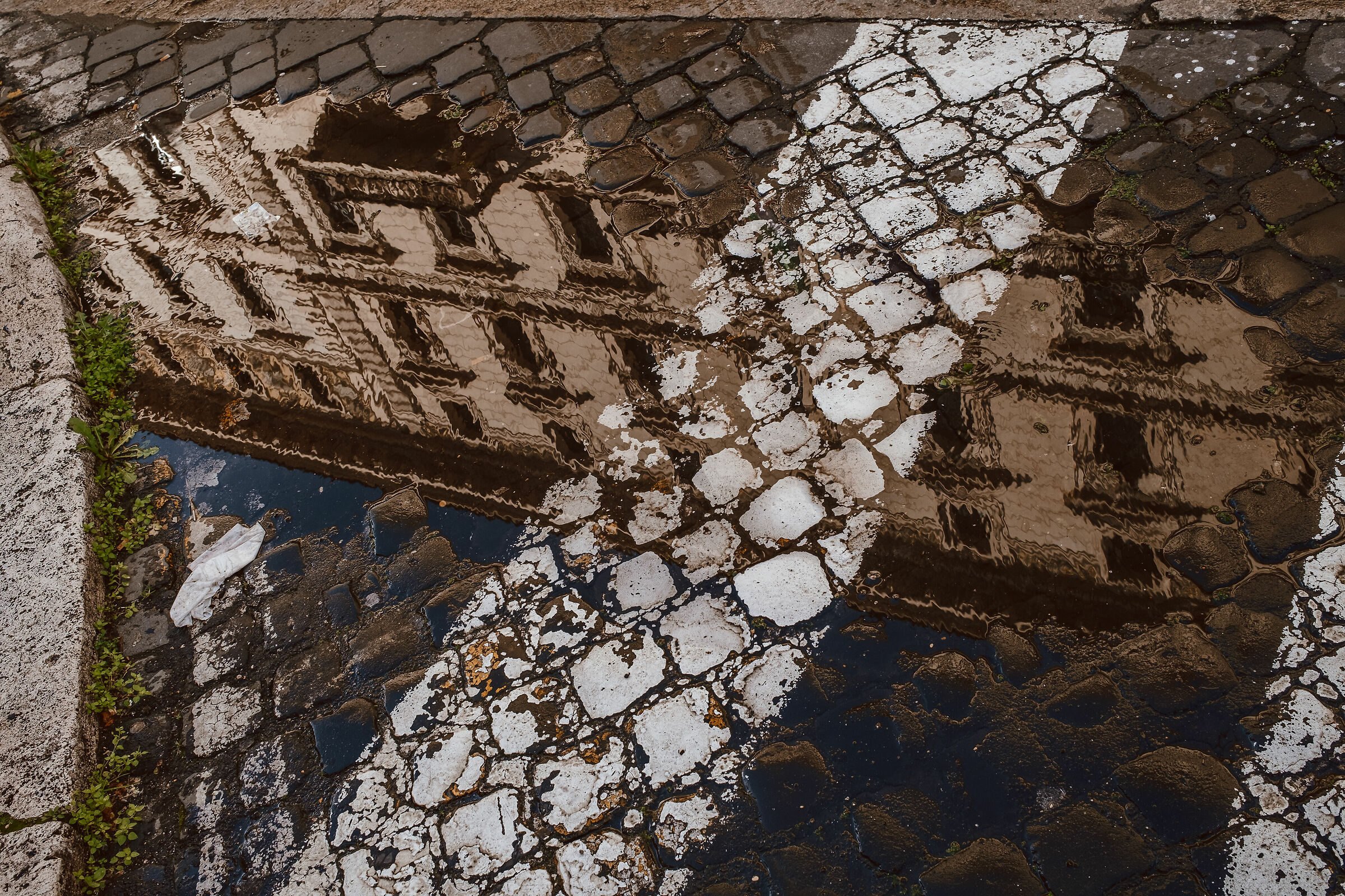 Fino al sole del mattino