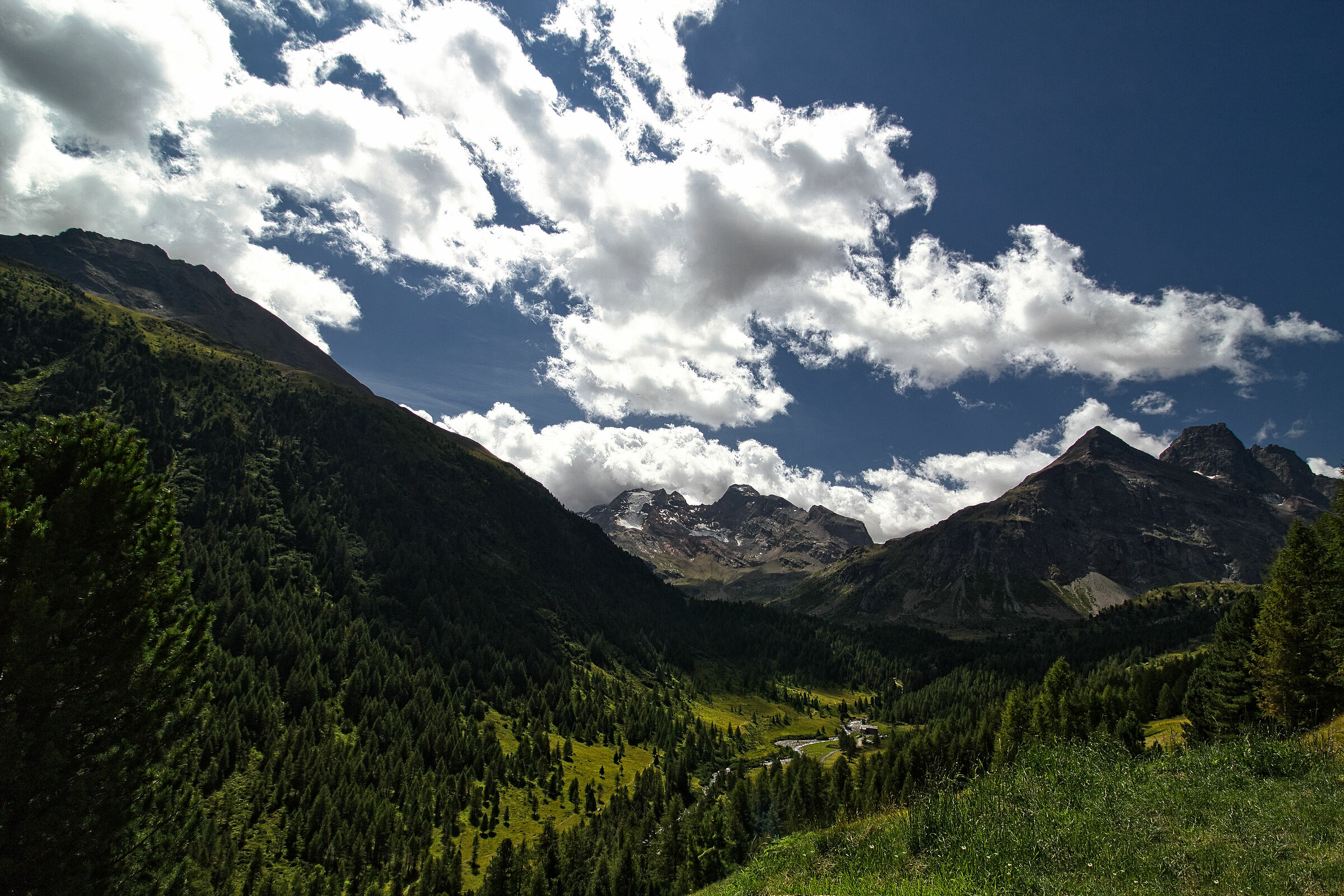 Panoramic view from Val Viola_2