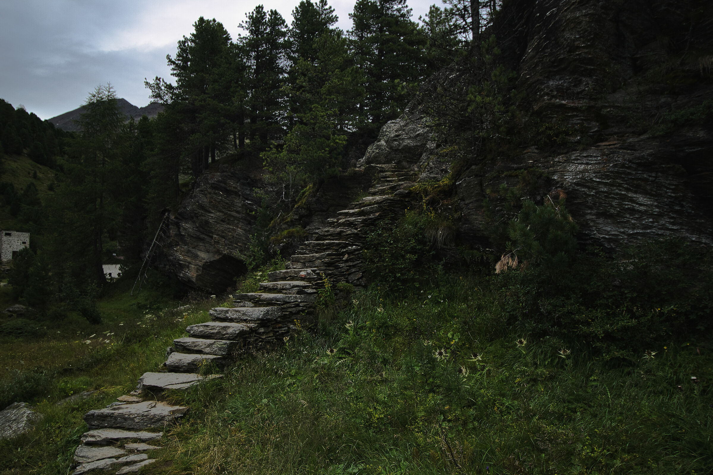 Start of the Forni Glacier trail