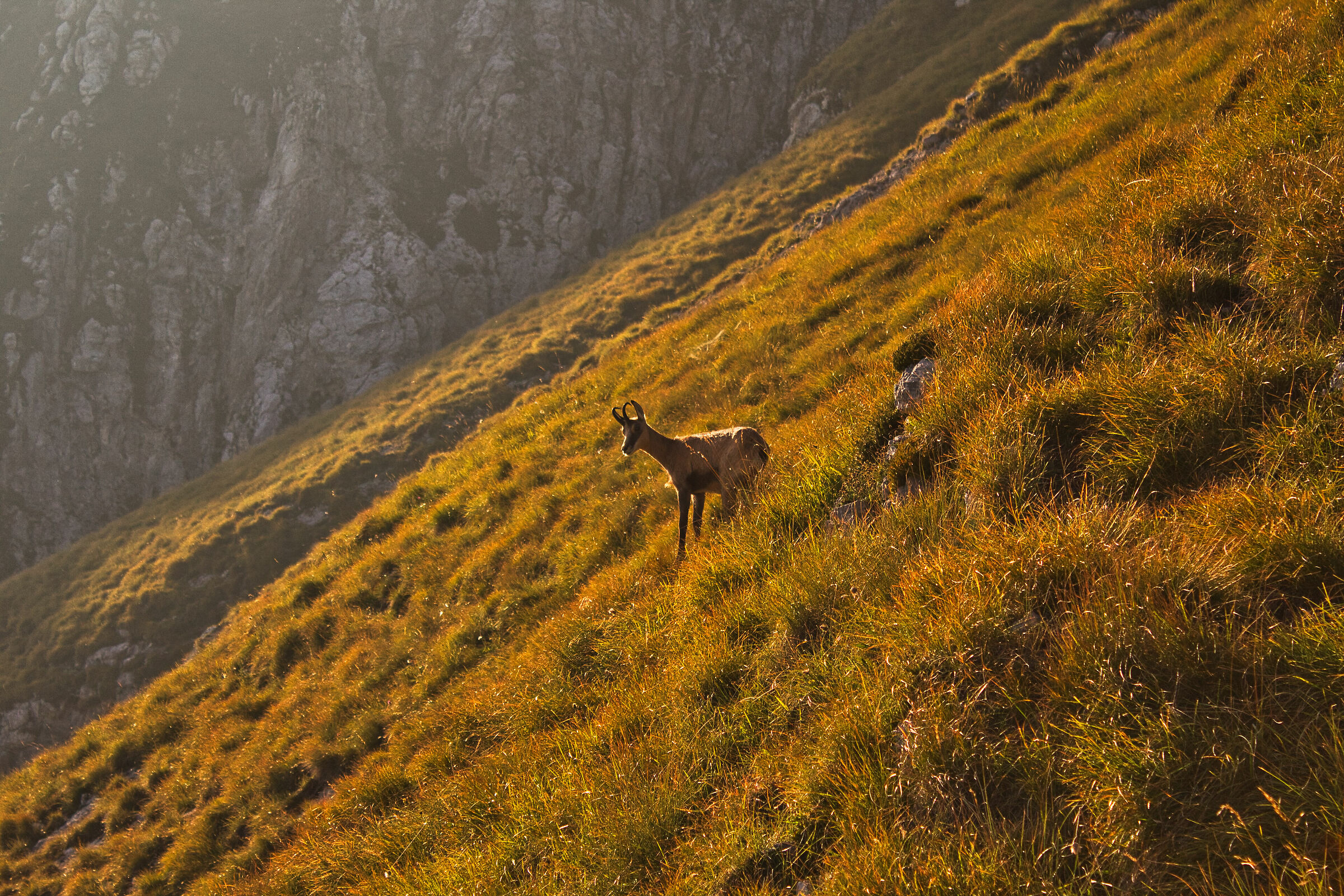 Meetings along the way