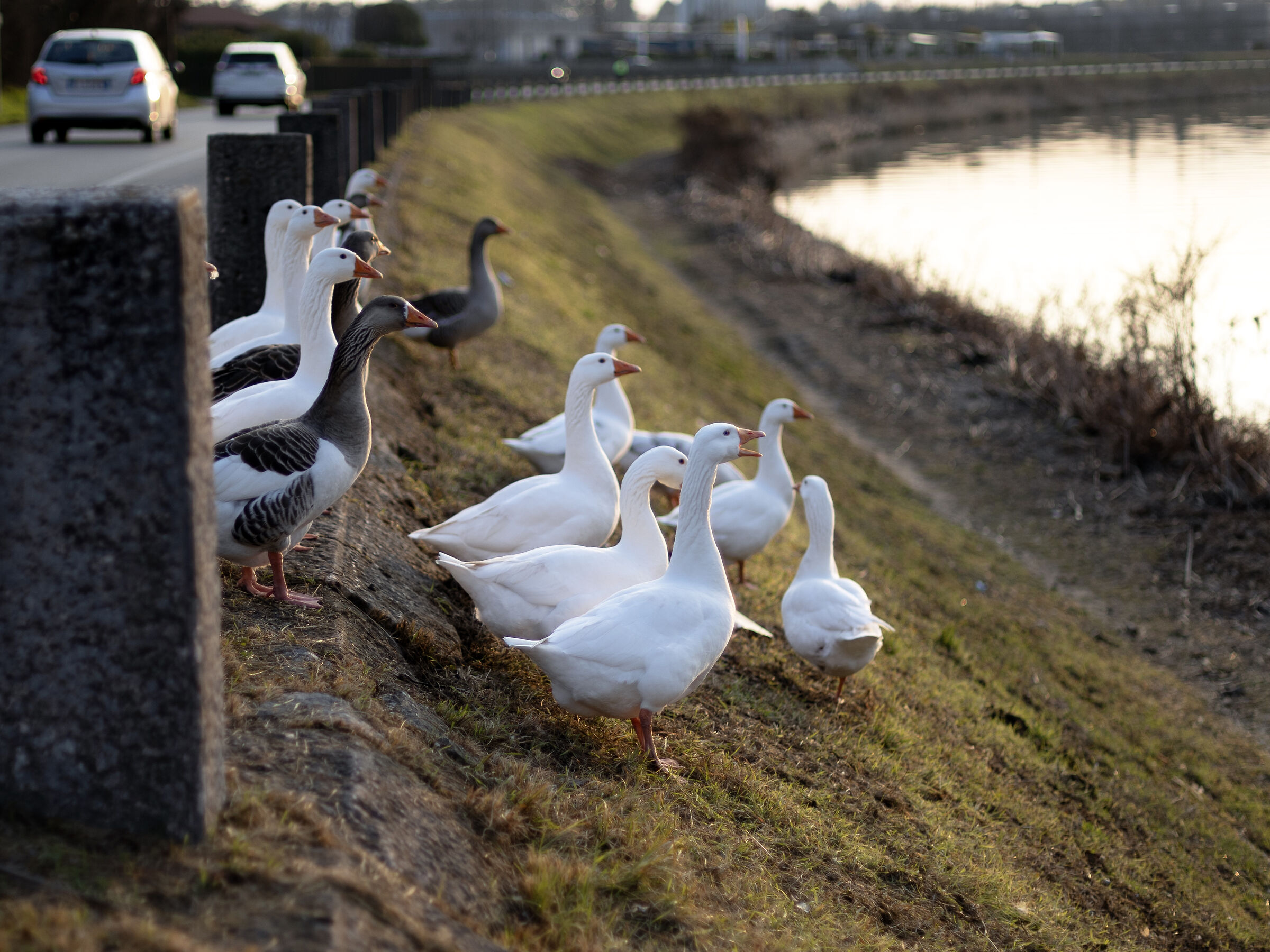 Sul ciglio di una strada a contemplare il tramonto
