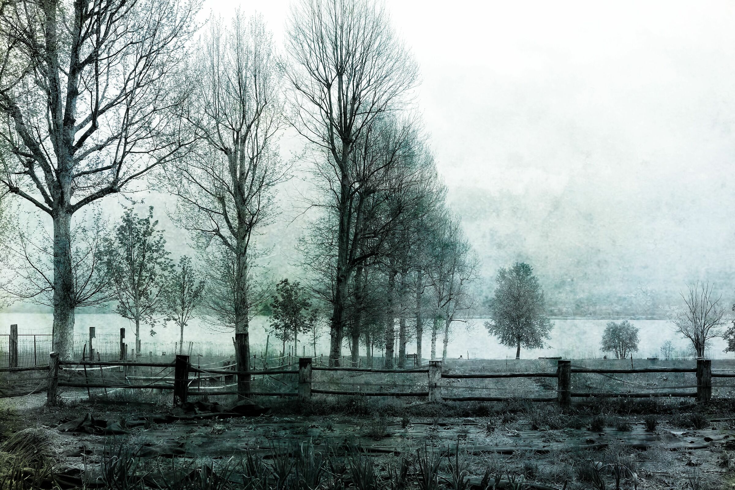 Countryside of Varese