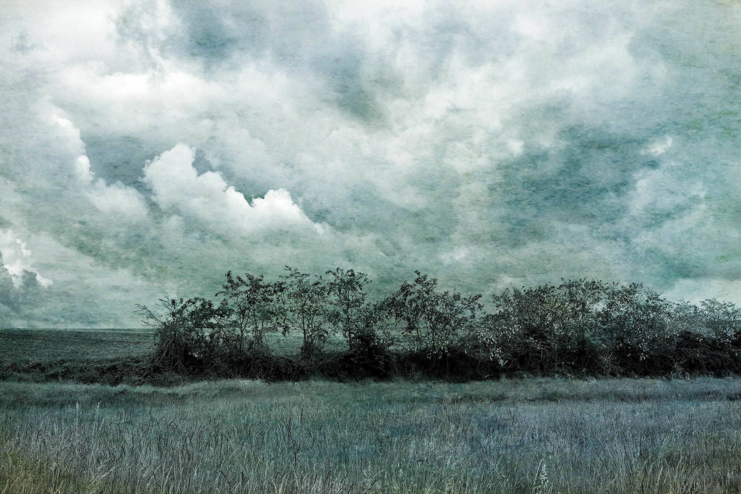 Untitled Photo