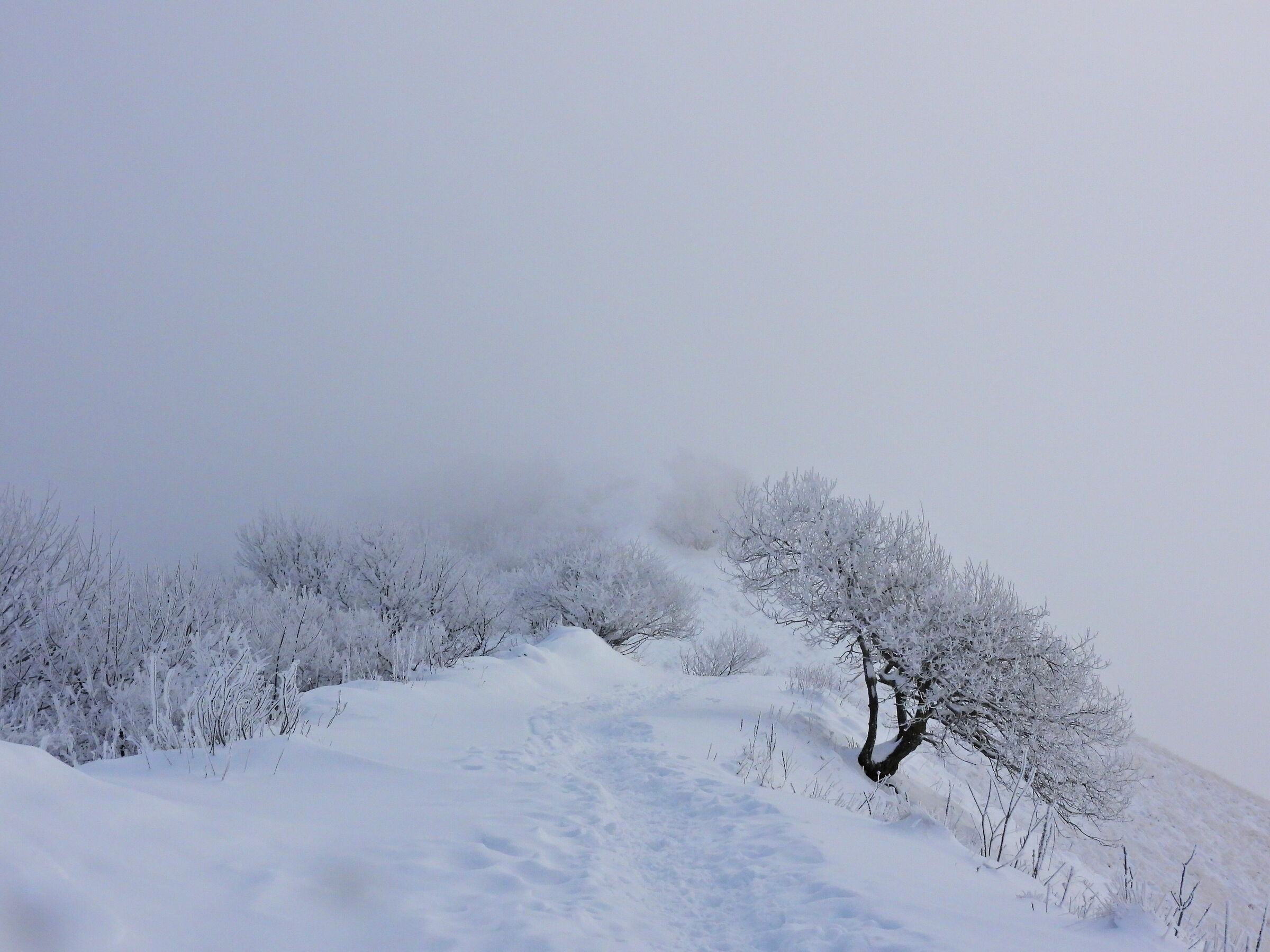 Towards the crest of San Primo