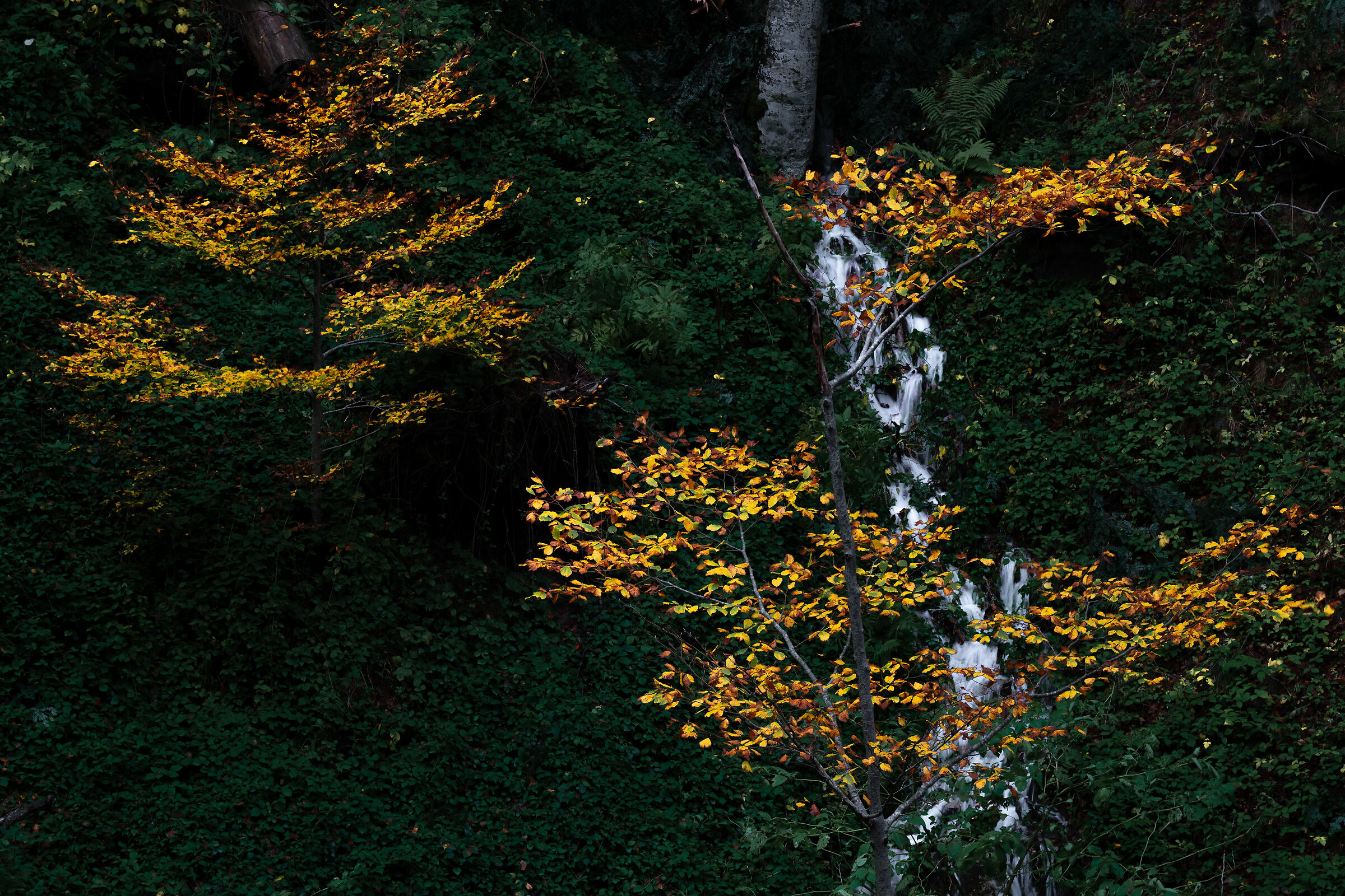 La cura dei dettagli