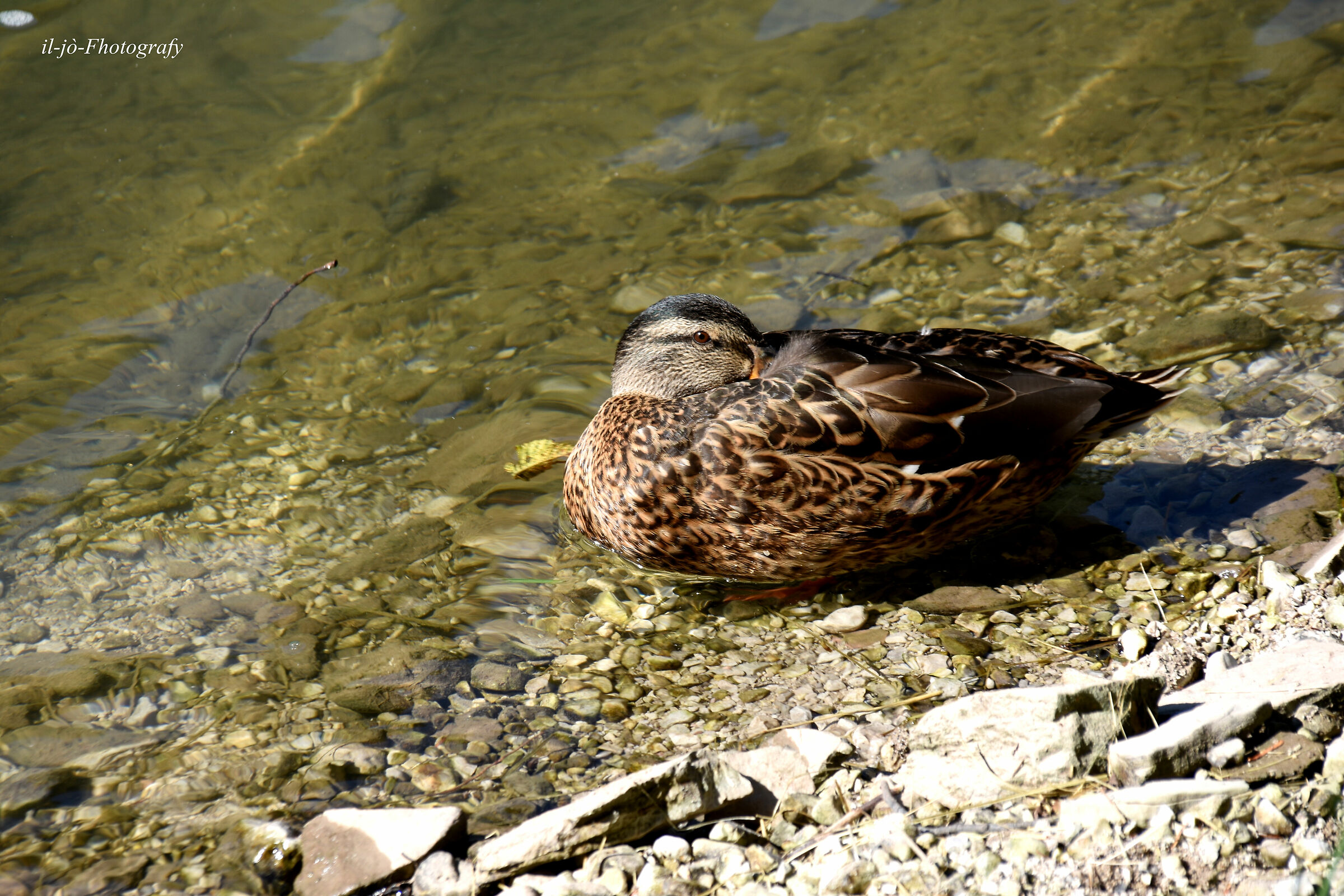Untitled Photo
