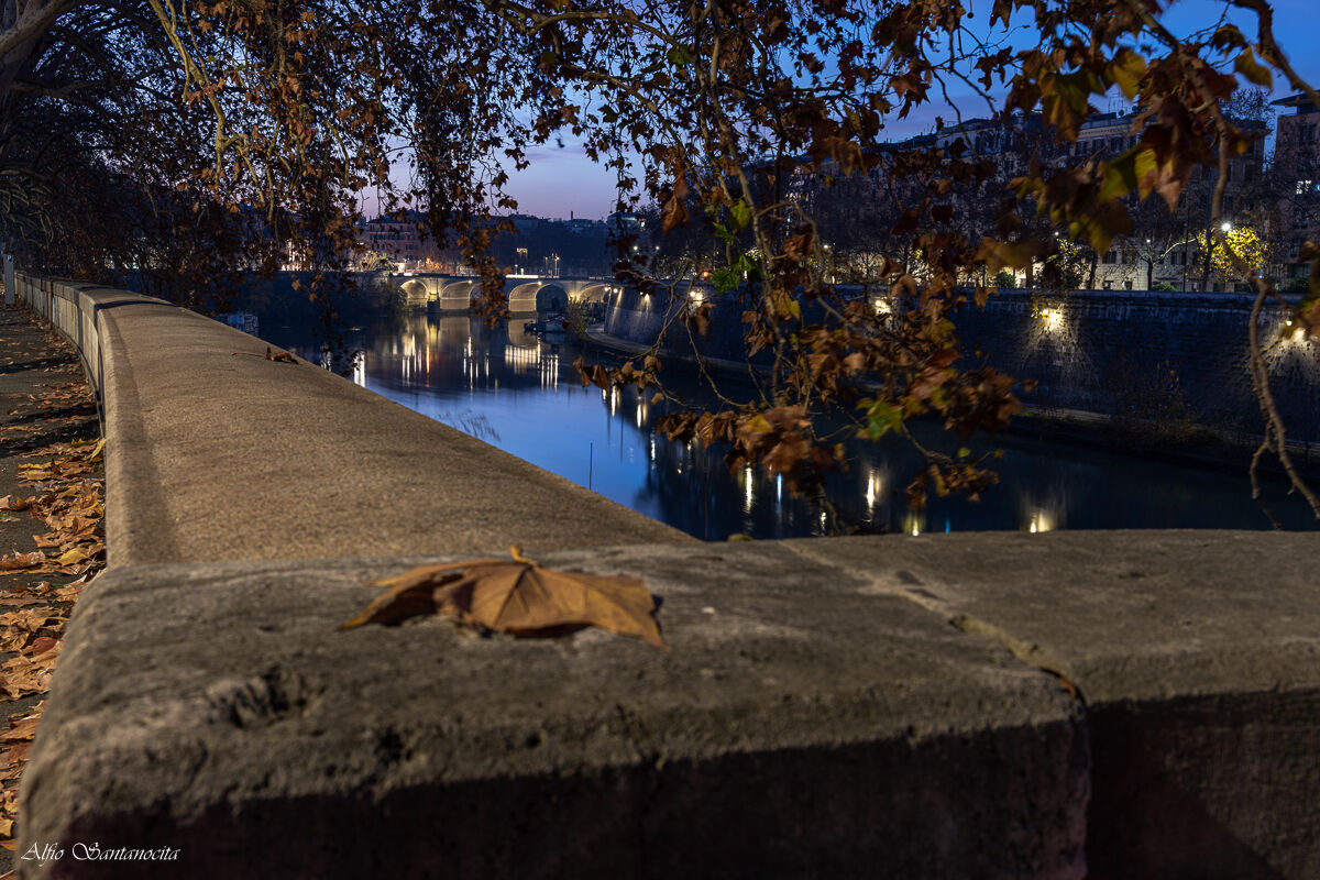 A corner of the Lungotevere