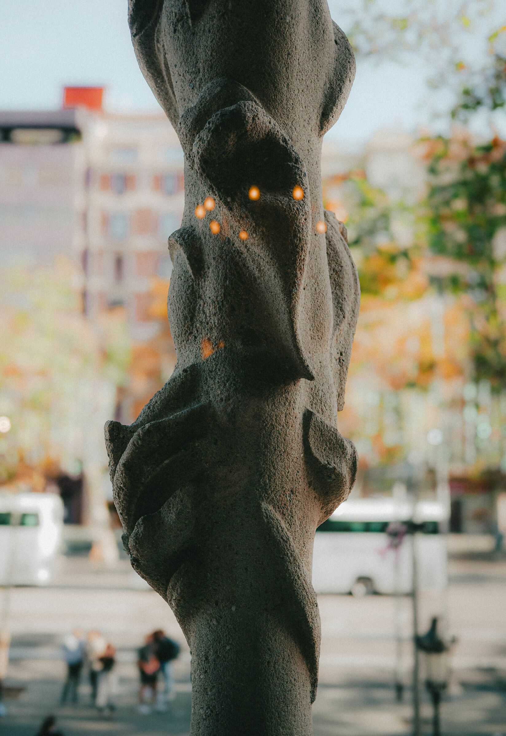 Column in the Batlló house