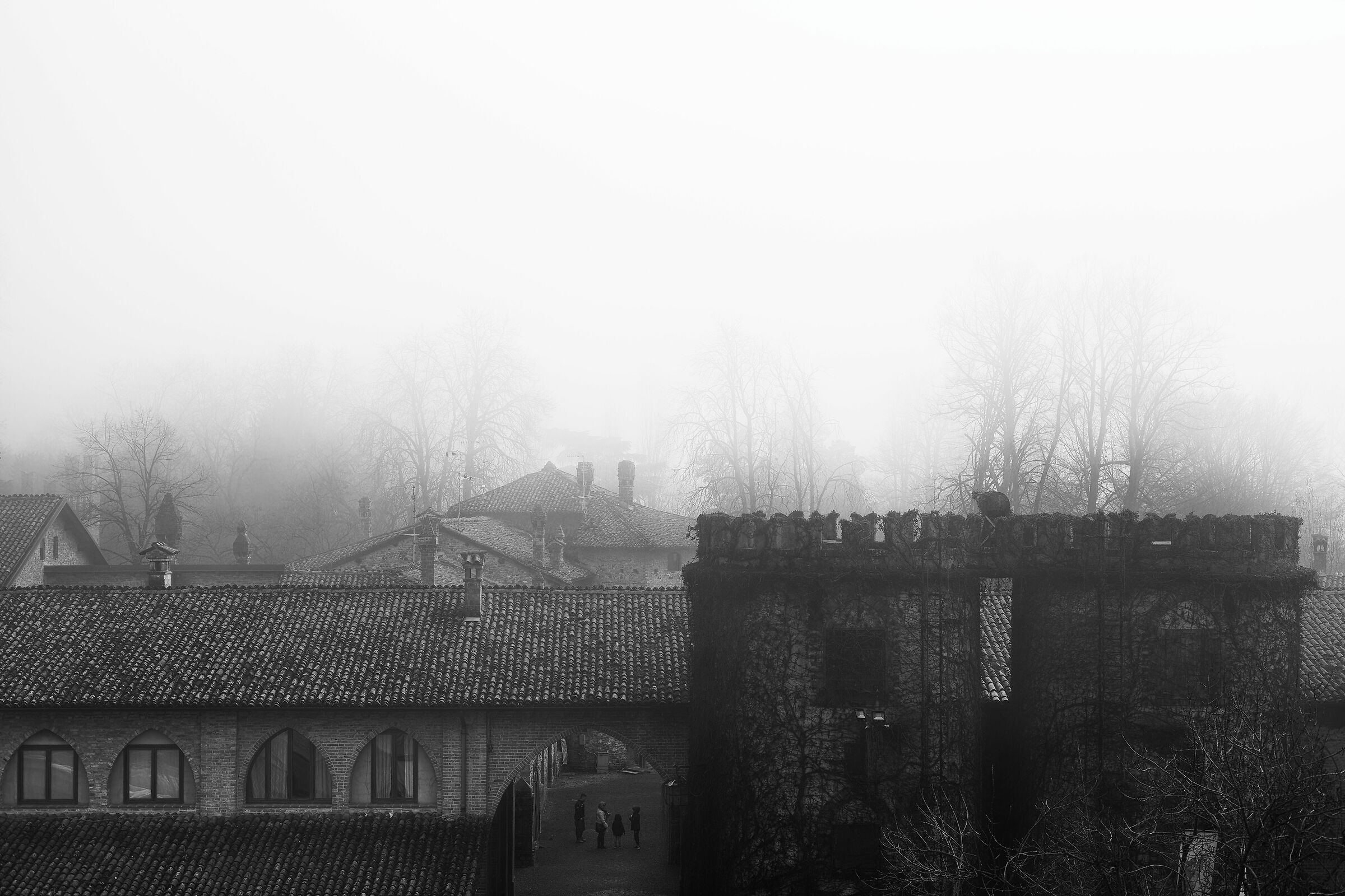 Senza Titolo