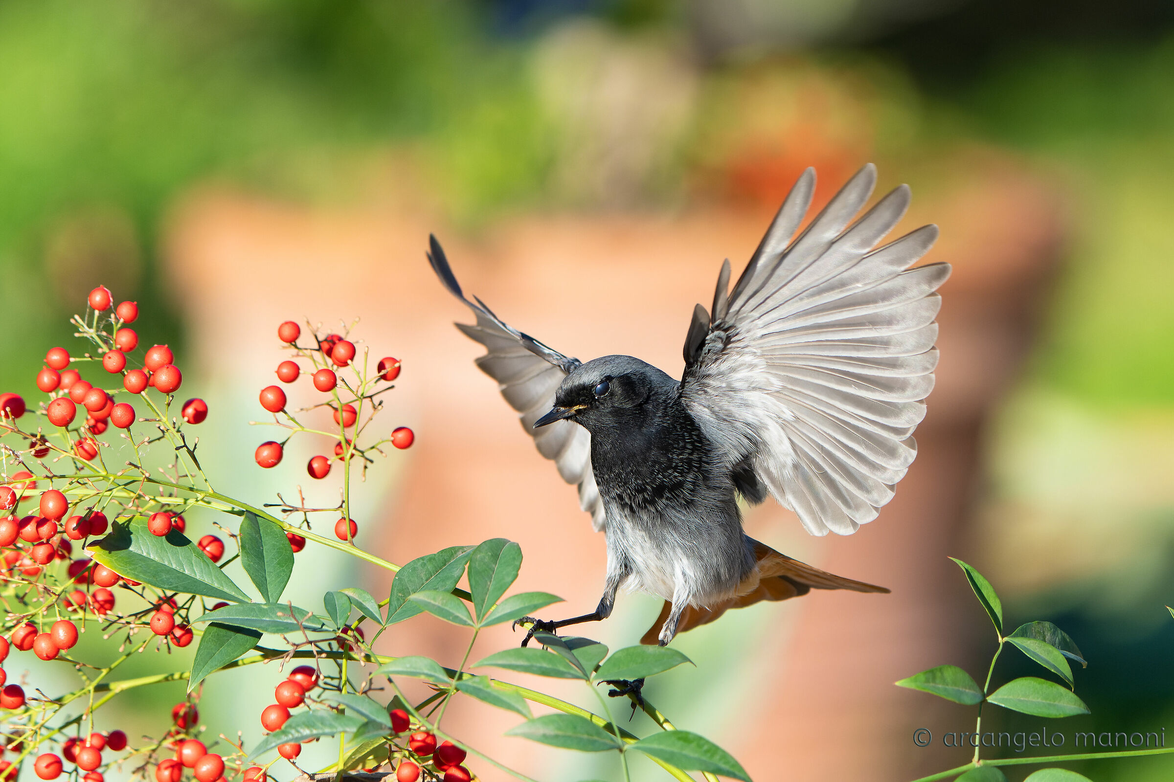 L'arrivo dello spazzacamino