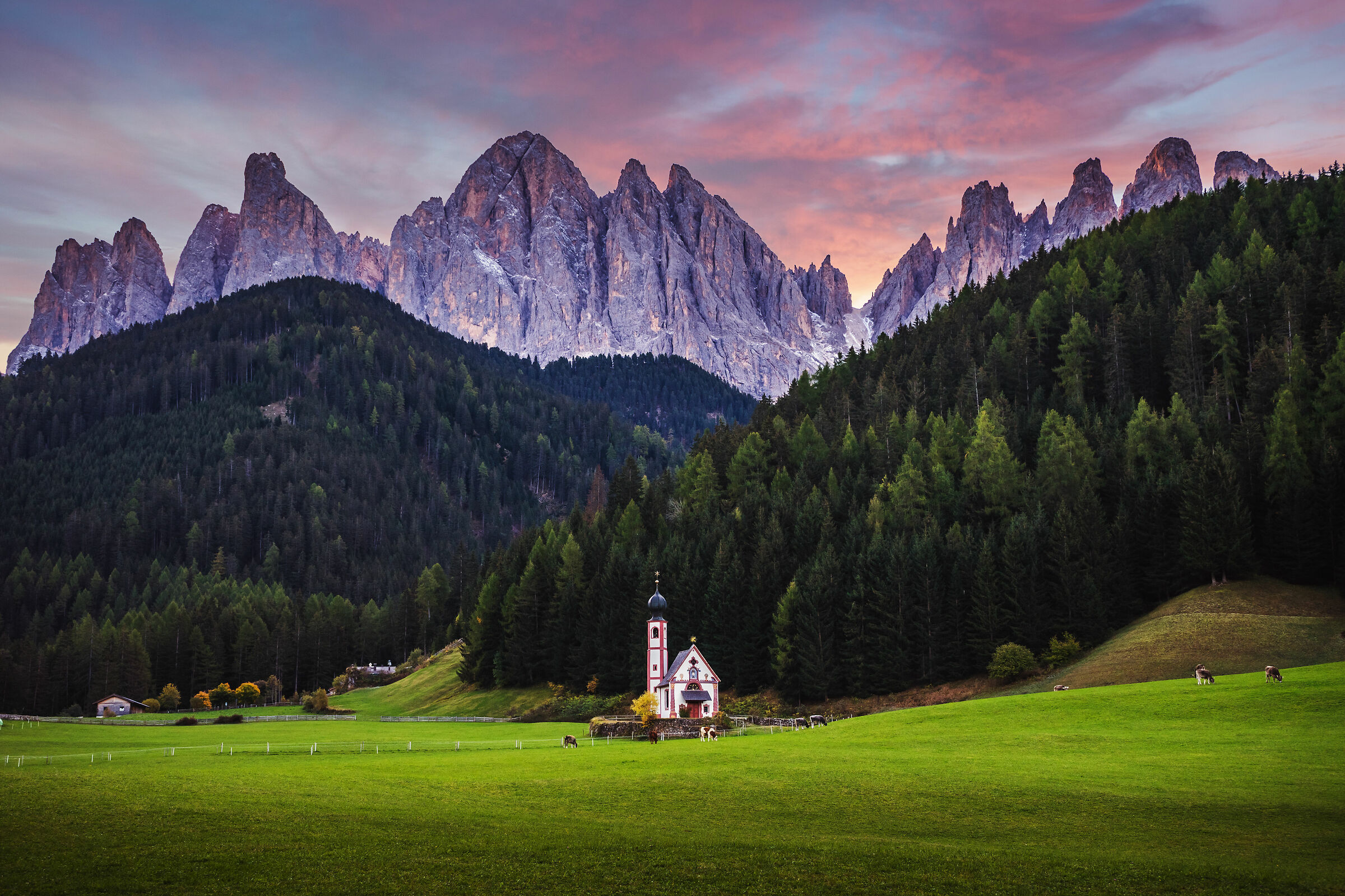 Dolomiti IX