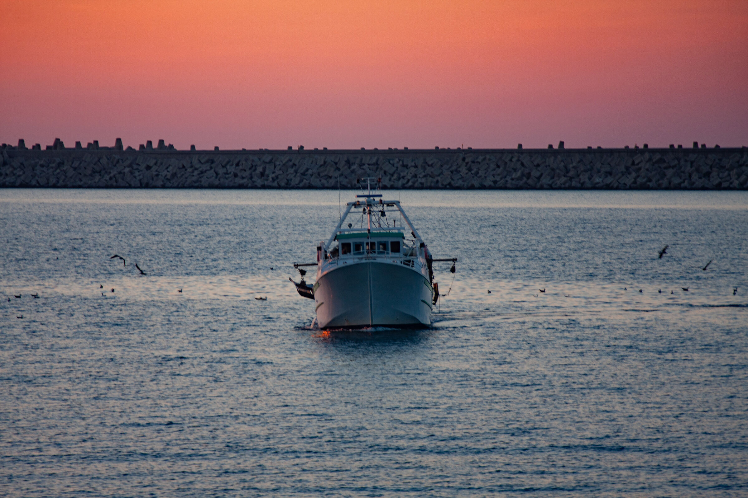 Fleet on the way back