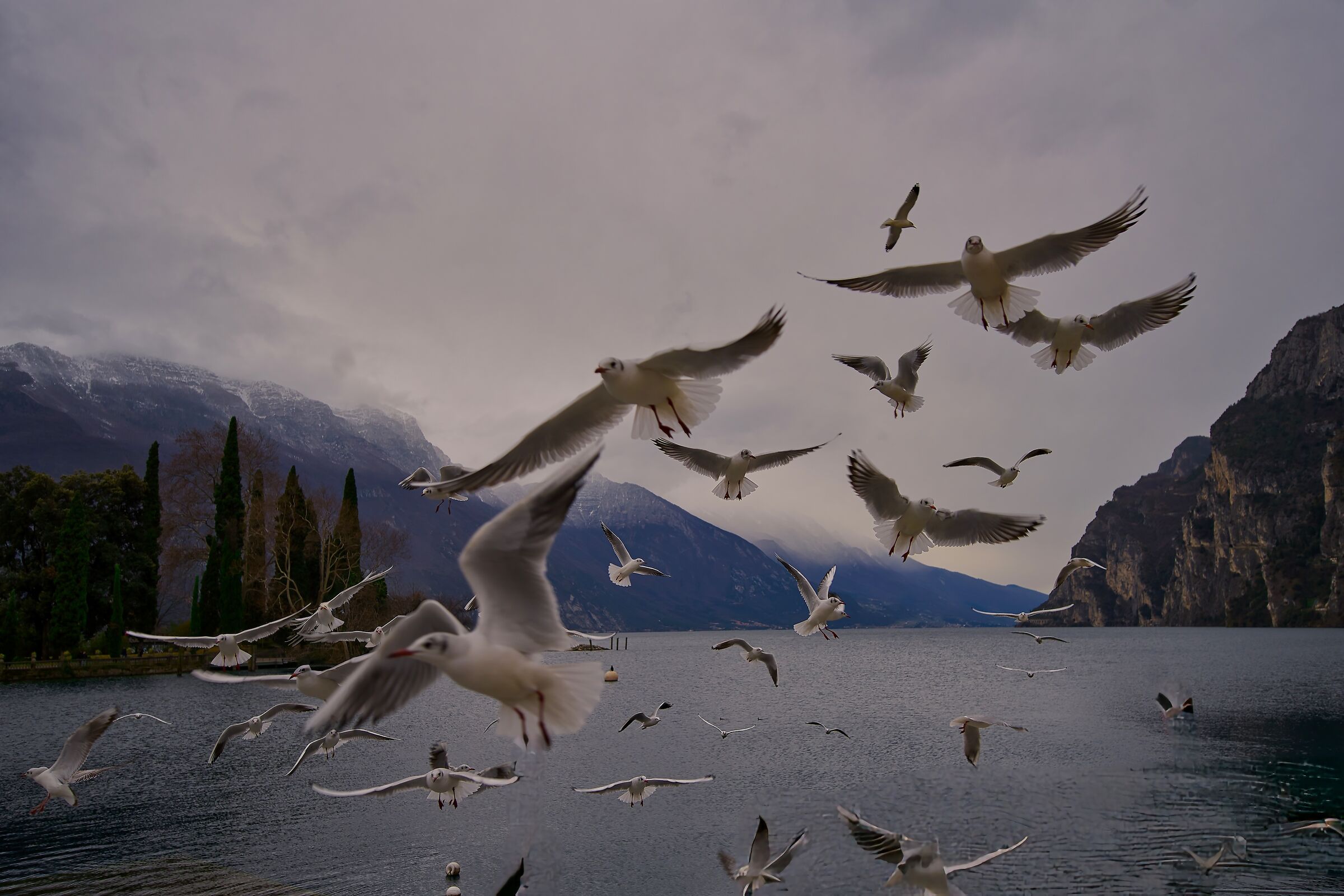 Untitled Photo