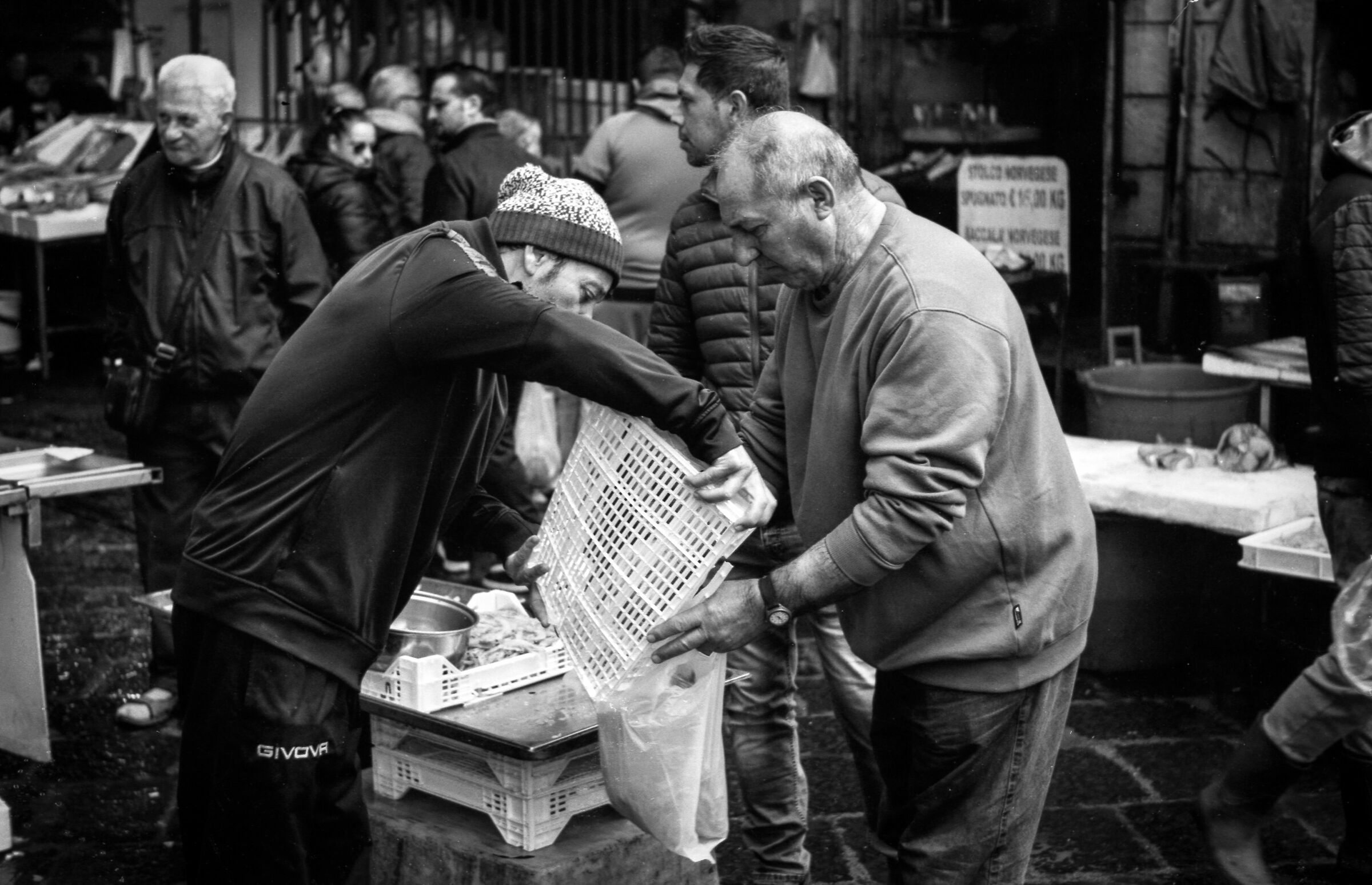 Fish Market a Pellicola 2