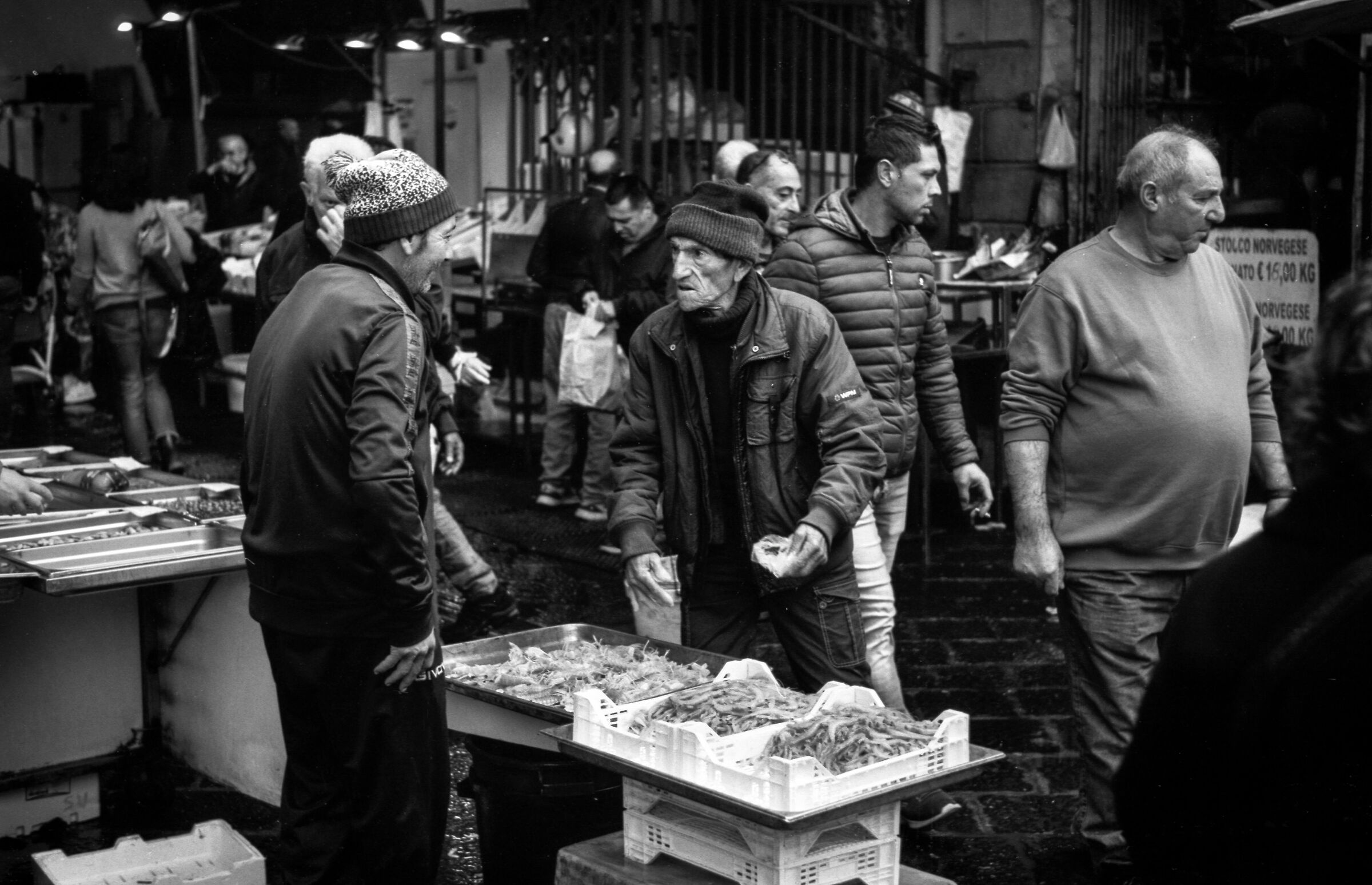 Fish Market a Pellicola 3