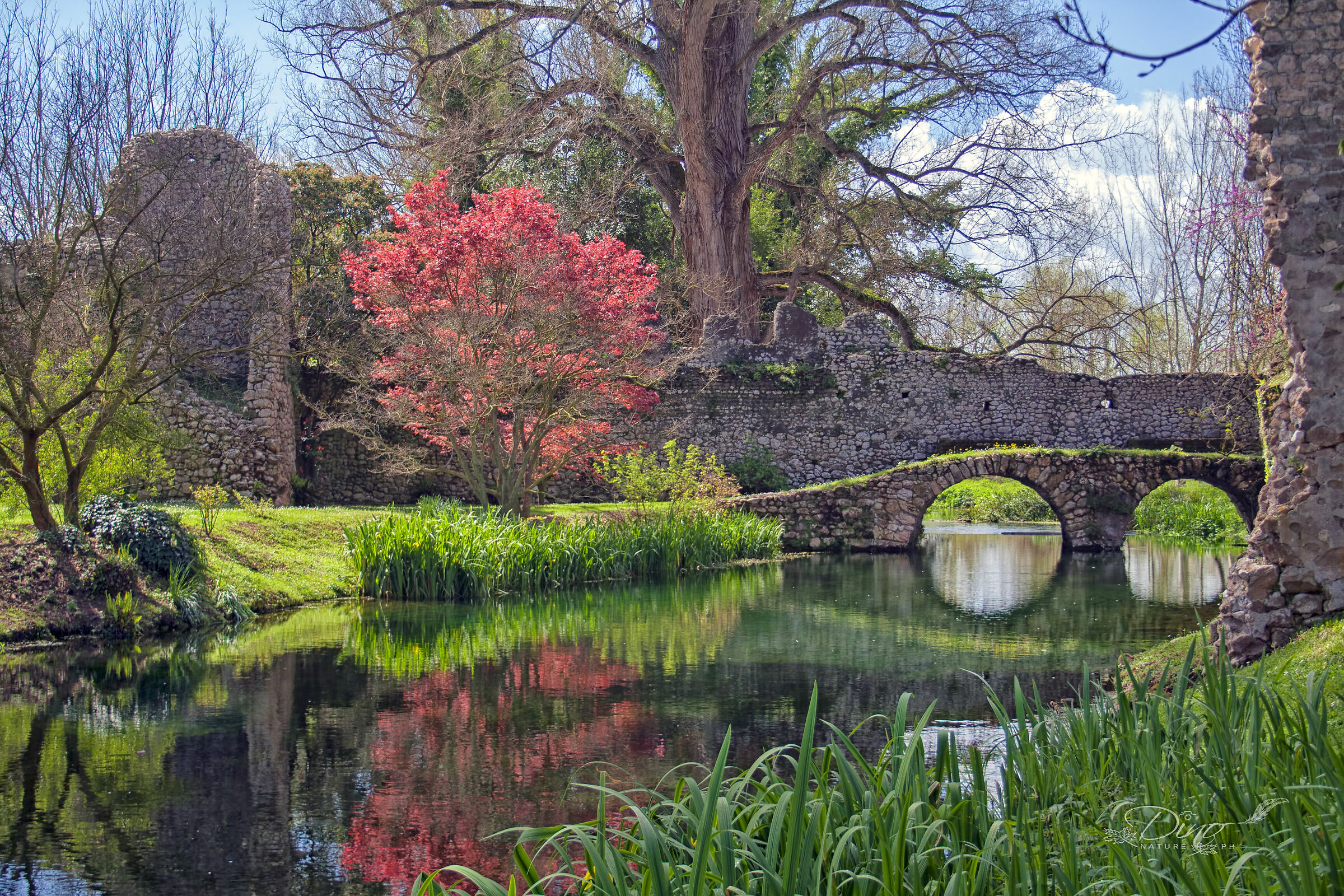 Gardens of Ninfa
