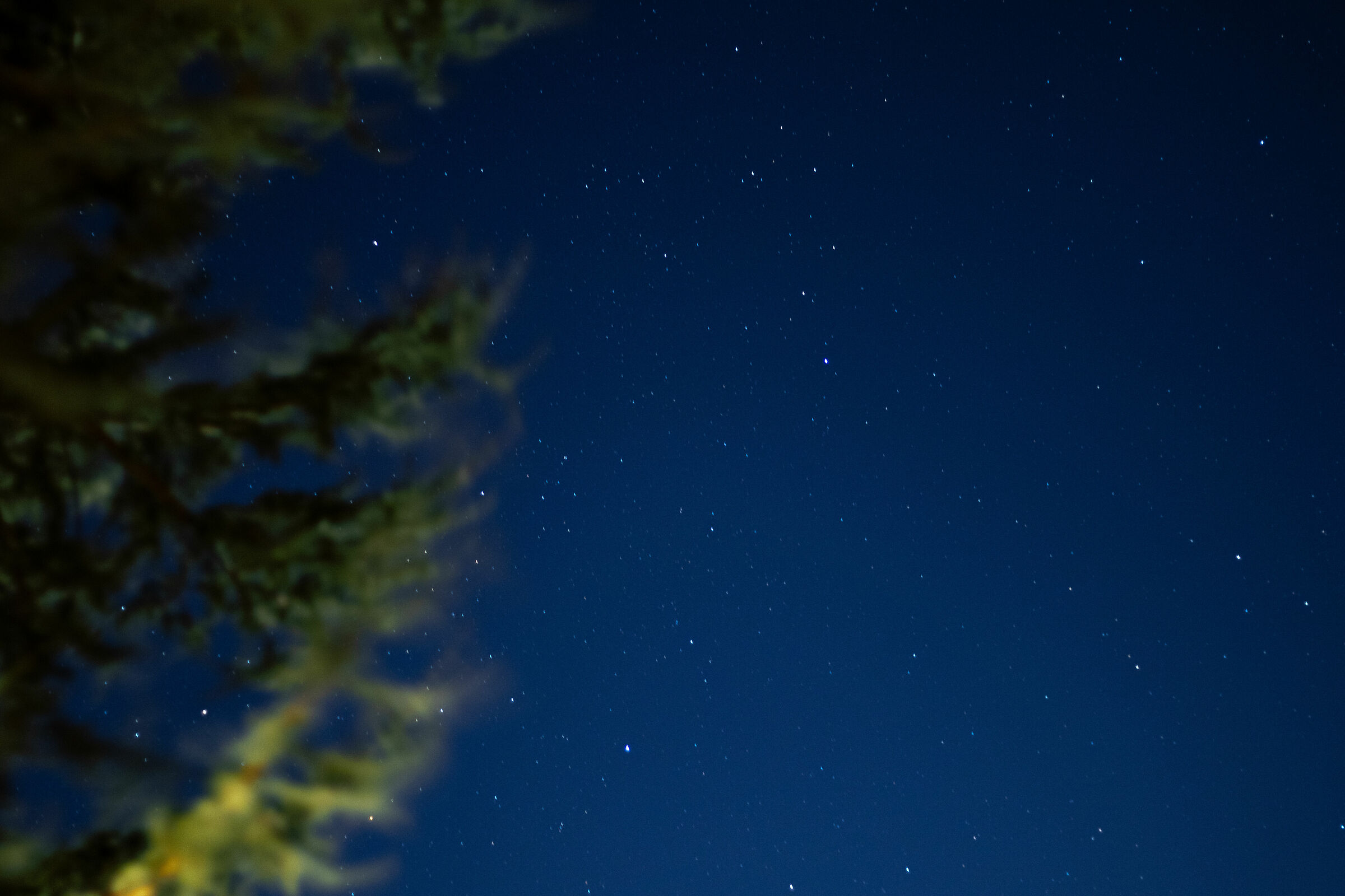 STARS 1