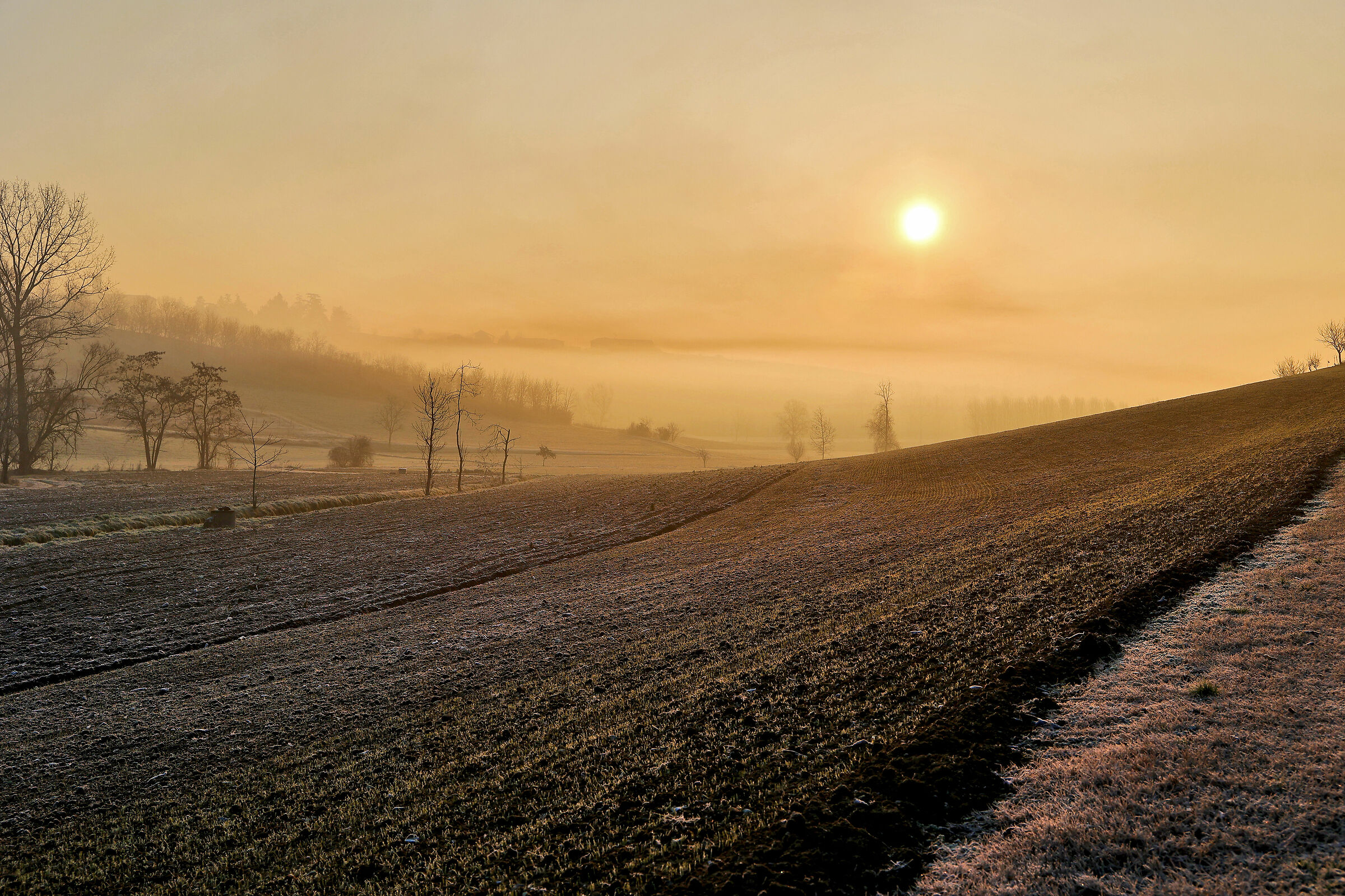 inverno nel monferrato