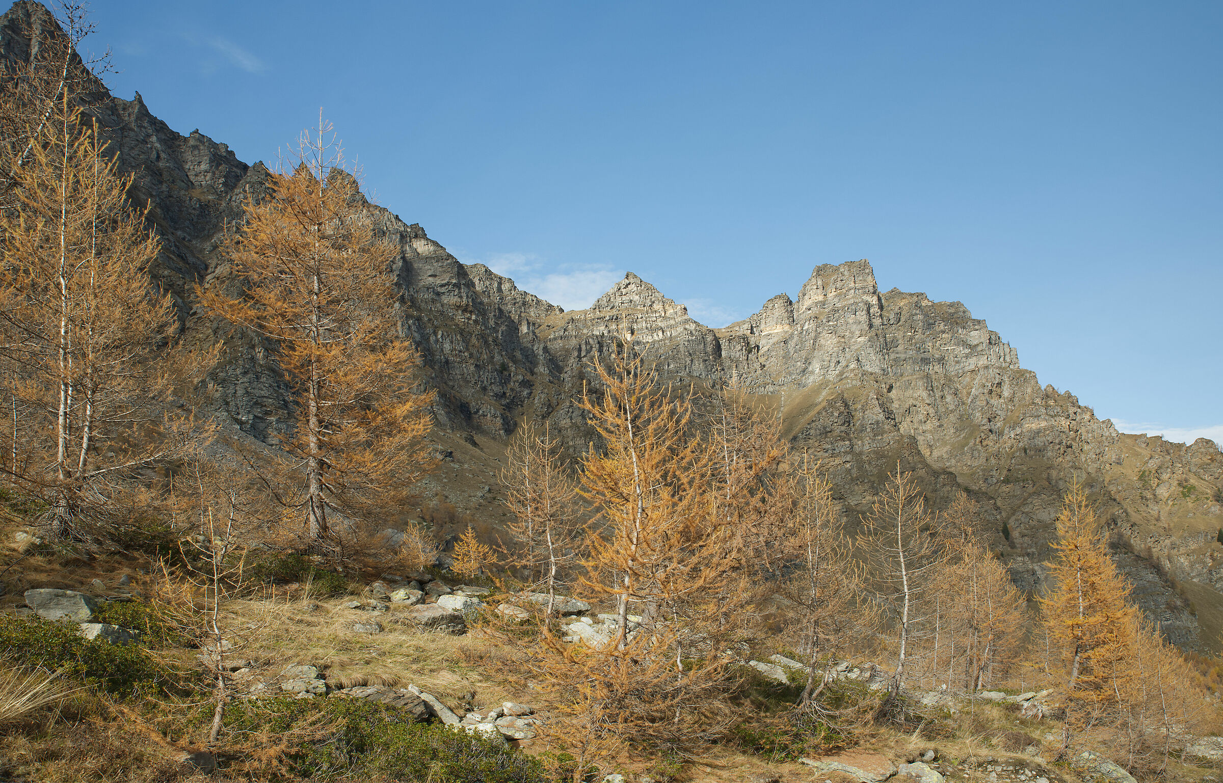 autumn in Valdivedro 2022