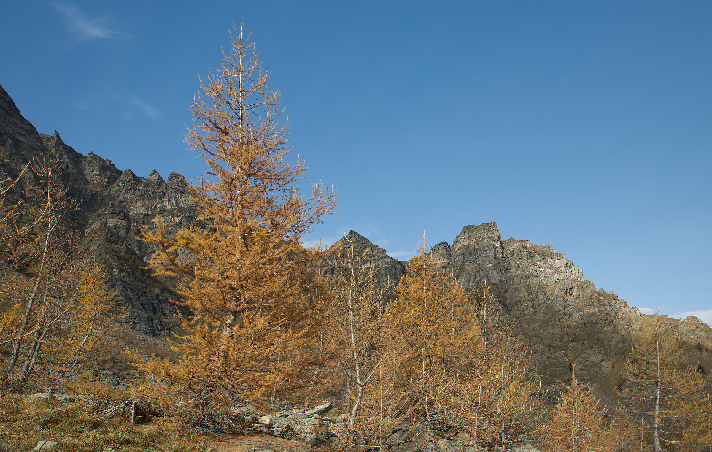 autumn in Valdivedro 2022