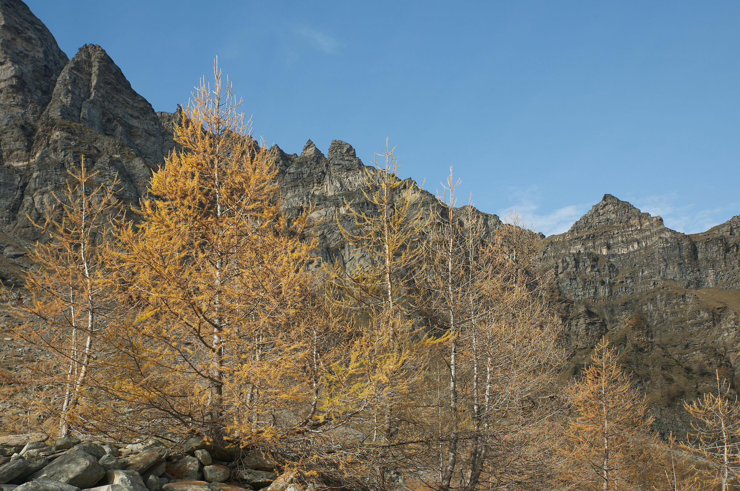 autumn in Valdivedro 2022